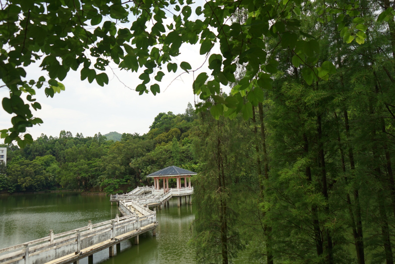 国荞公园旅行图片 1
