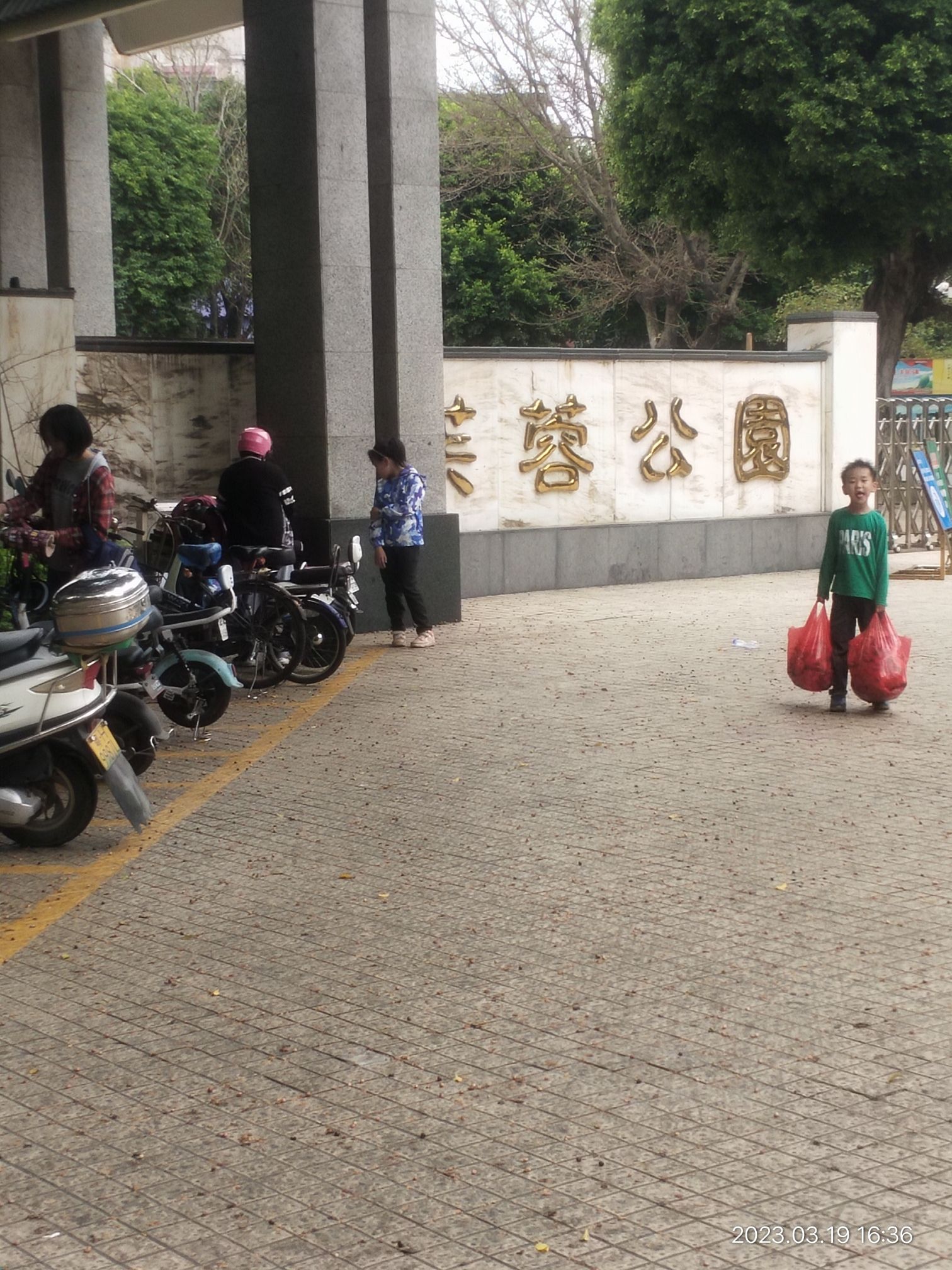 芙蓉公园旅行图片 1