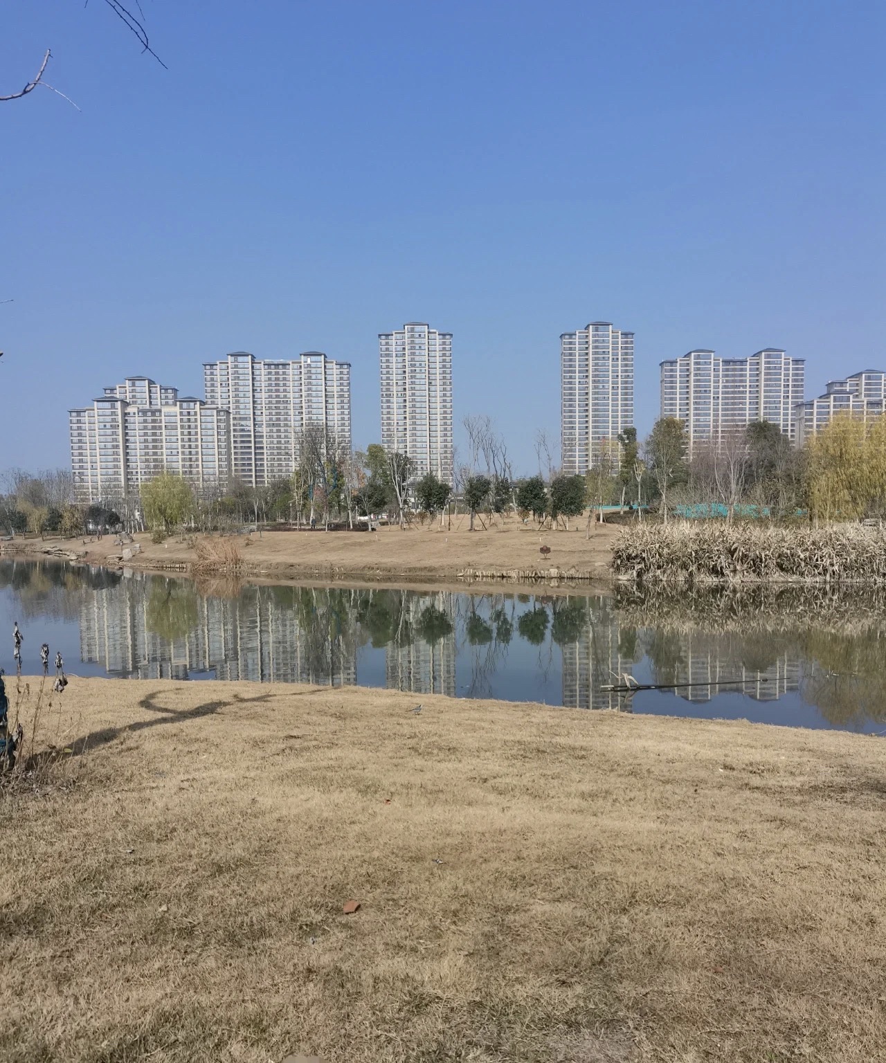 芙蓉公园旅行图片 1