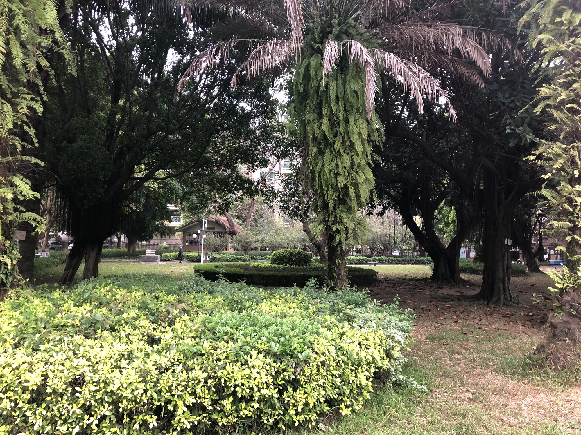 芙蓉公园旅行图片 3