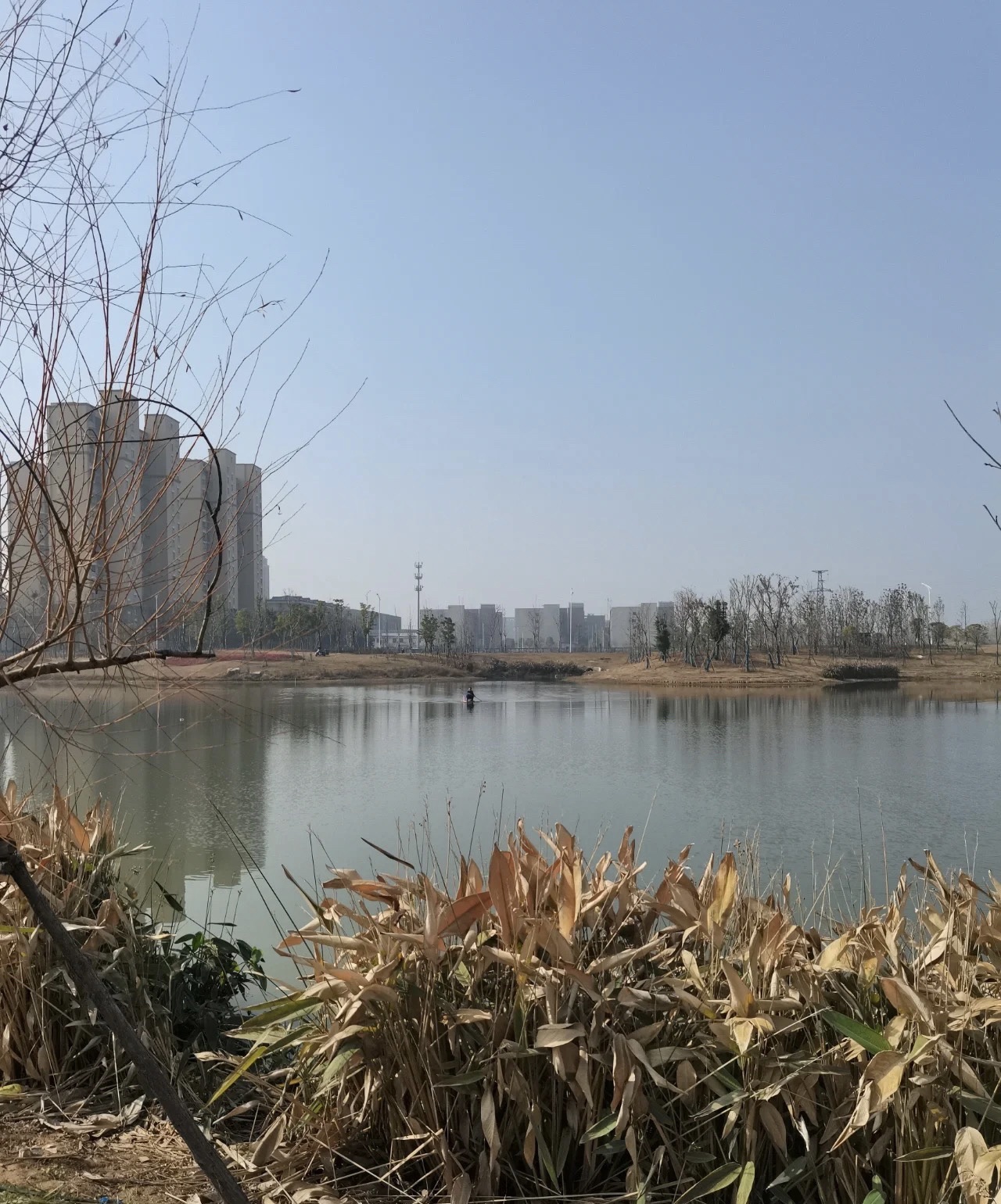 芙蓉公园旅行图片 2