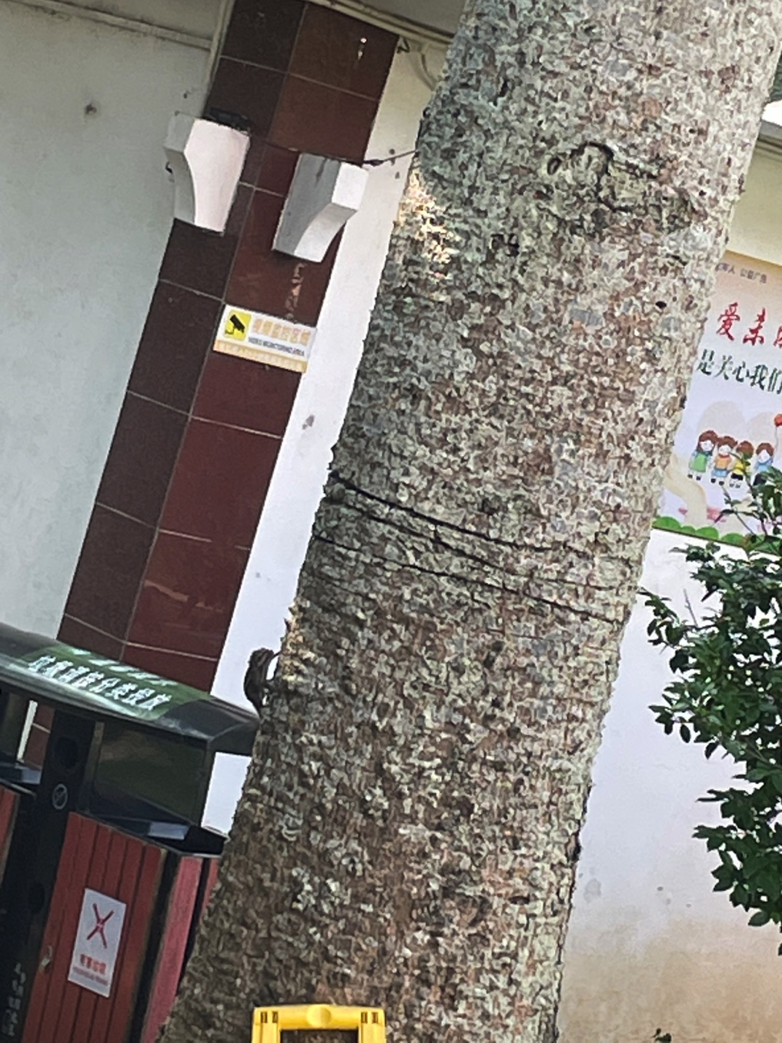 三元塔旅行图片 1