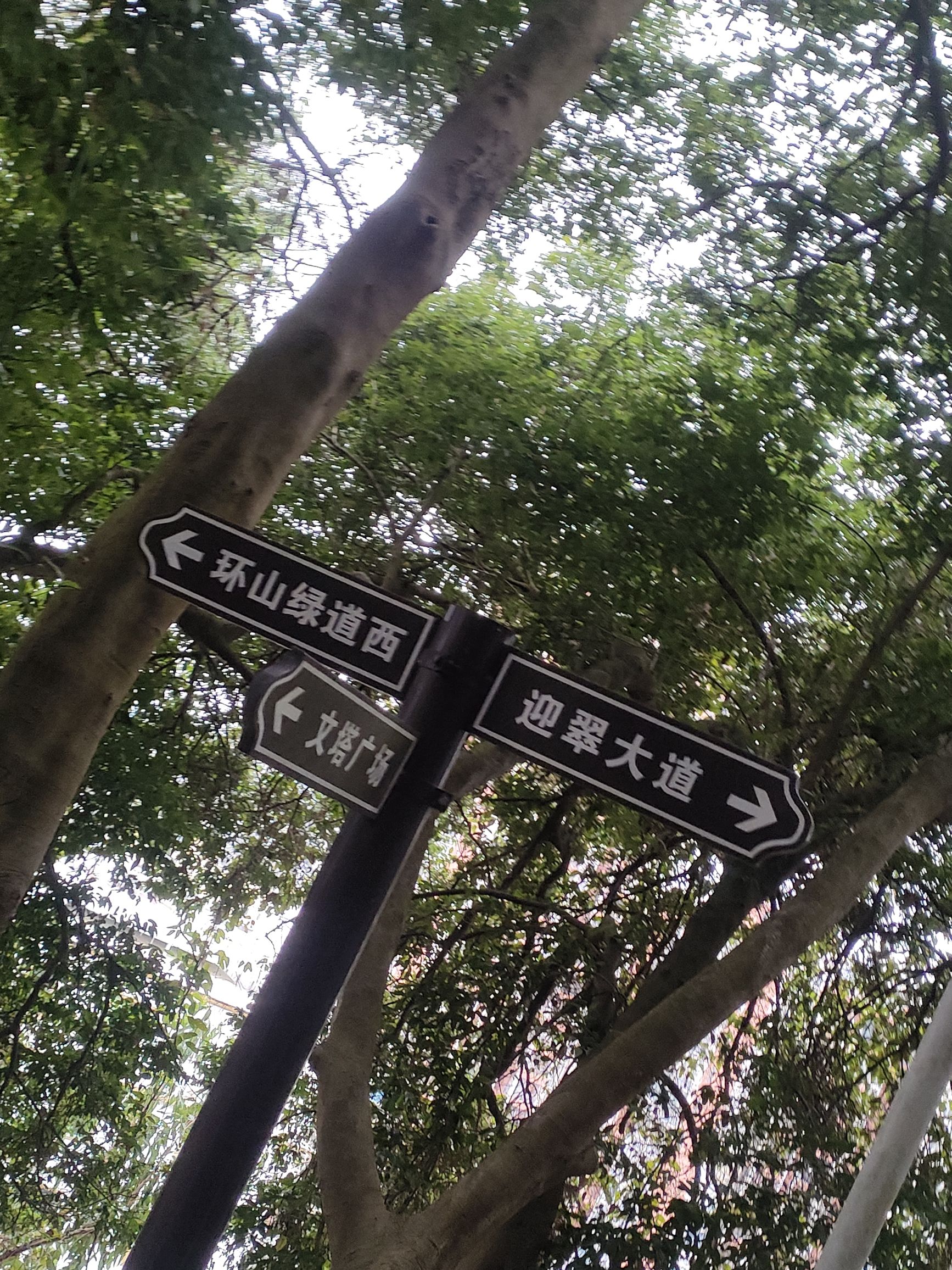 翠竹公园旅行图片 3