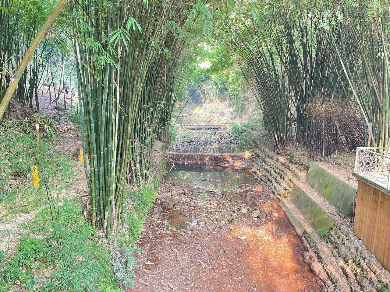 绥江竹海生态旅游景区旅行图片 2
