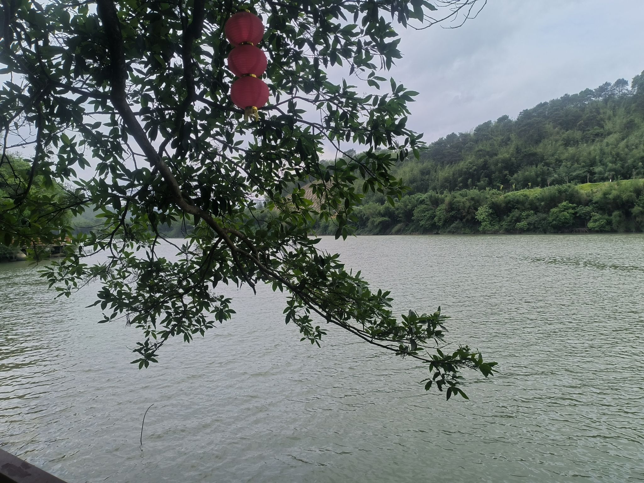 绥江竹海生态旅游景区旅行图片 1