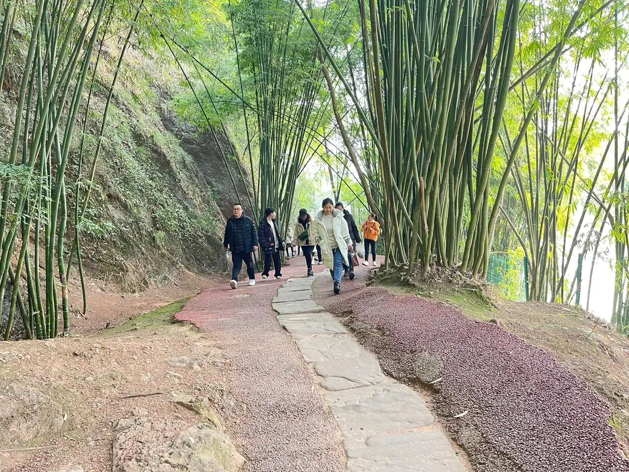 绥江竹海生态旅游景区旅行图片 3