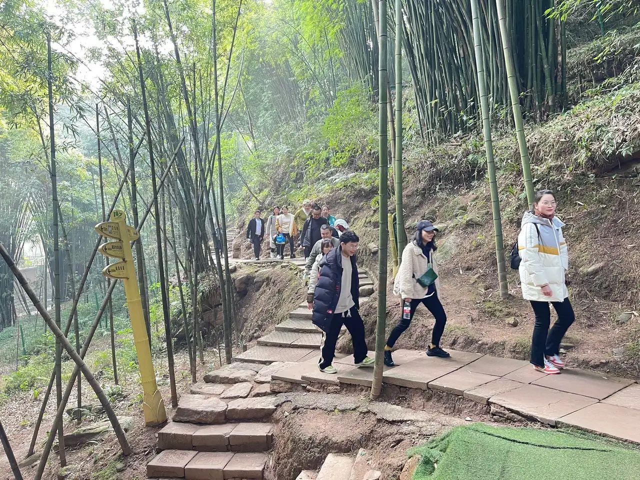 绥江竹海生态旅游景区旅行图片 1