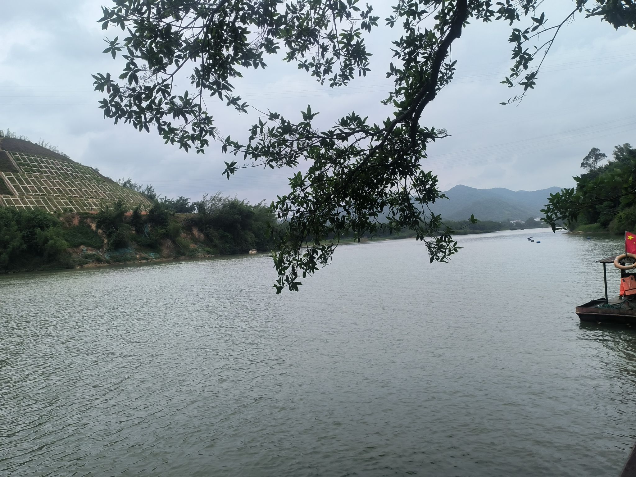 绥江竹海生态旅游景区旅行图片 2