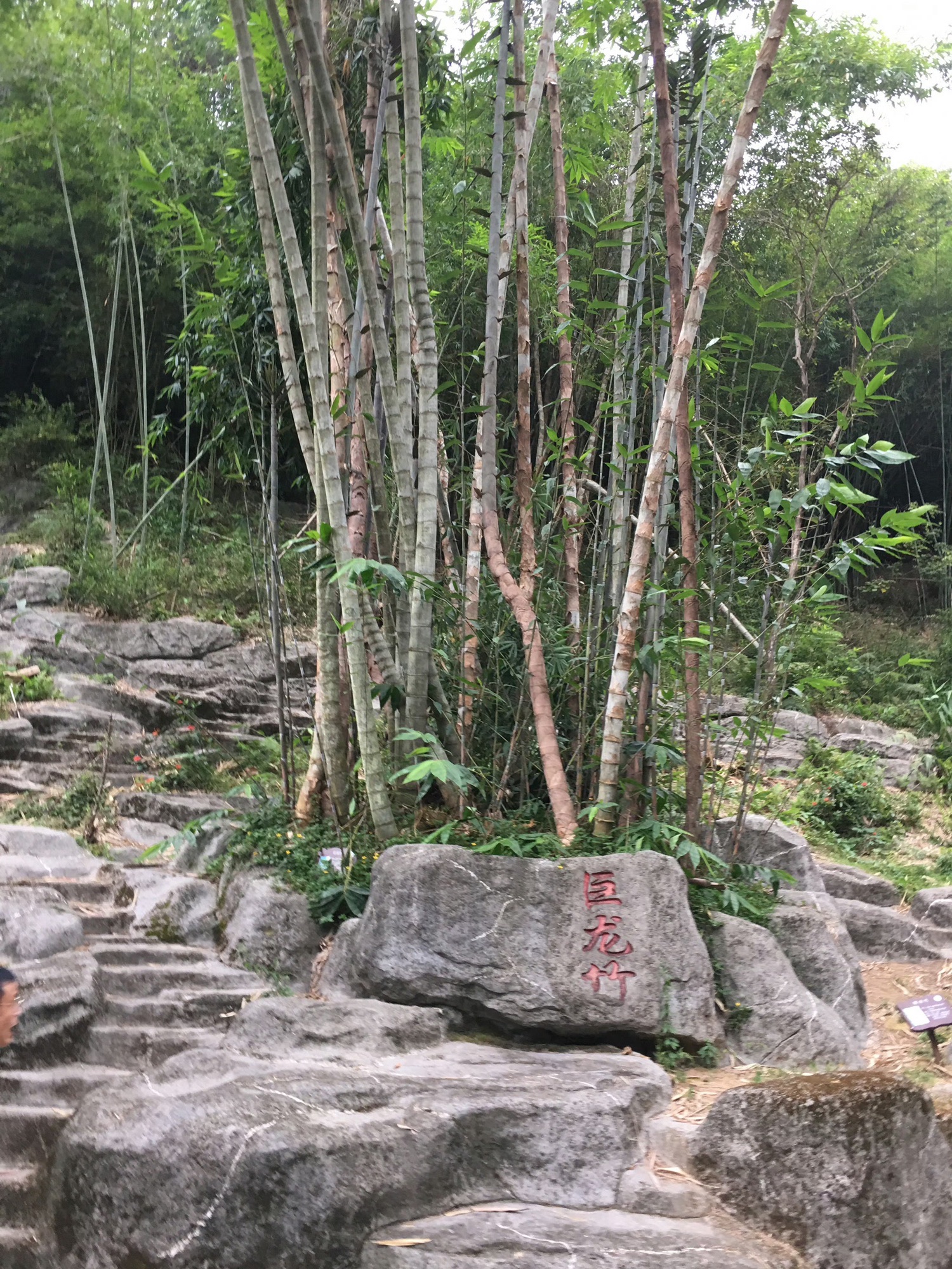 宝锭山风景区旅行图片 3