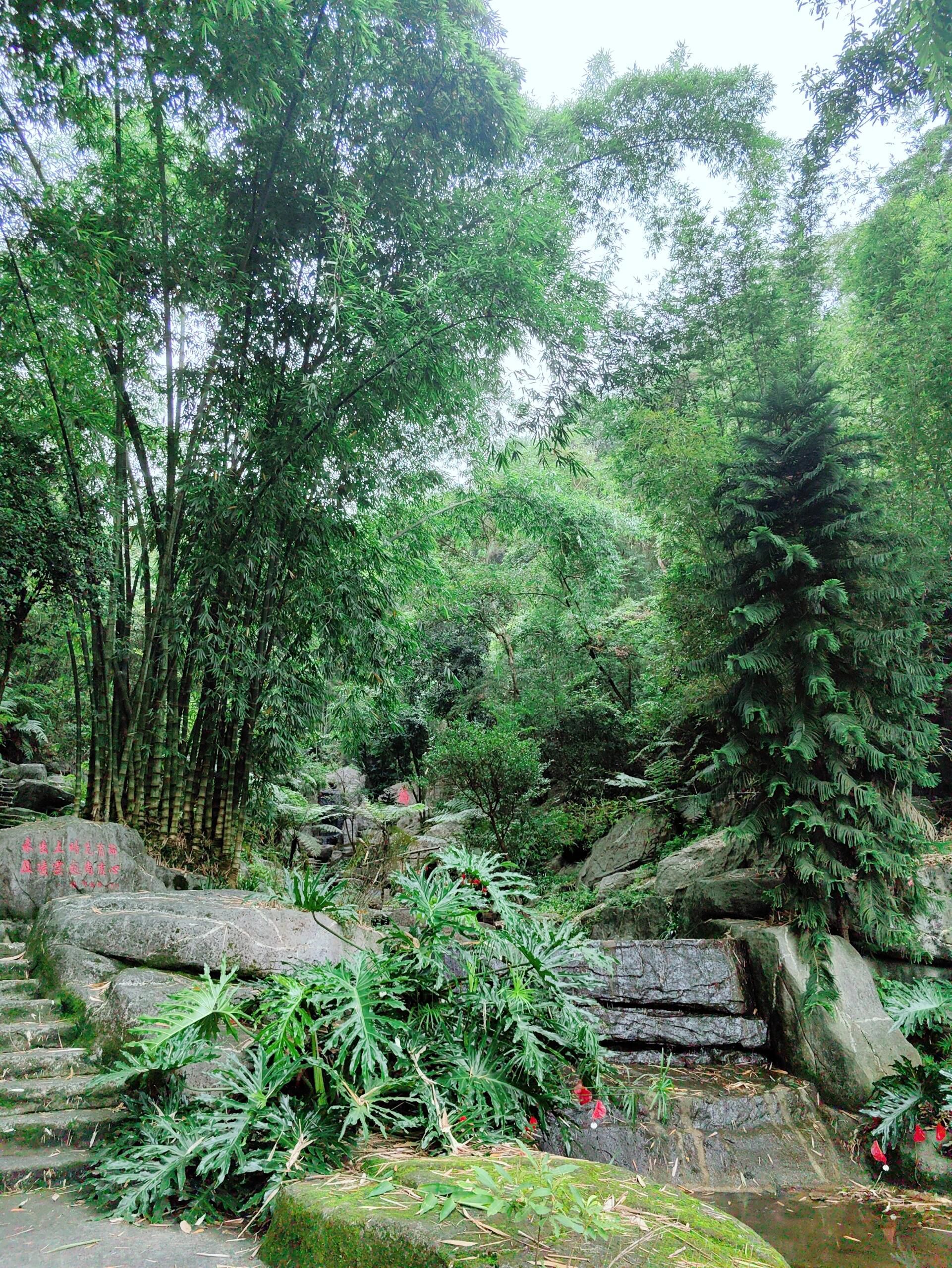 宝锭山风景区旅行图片 3