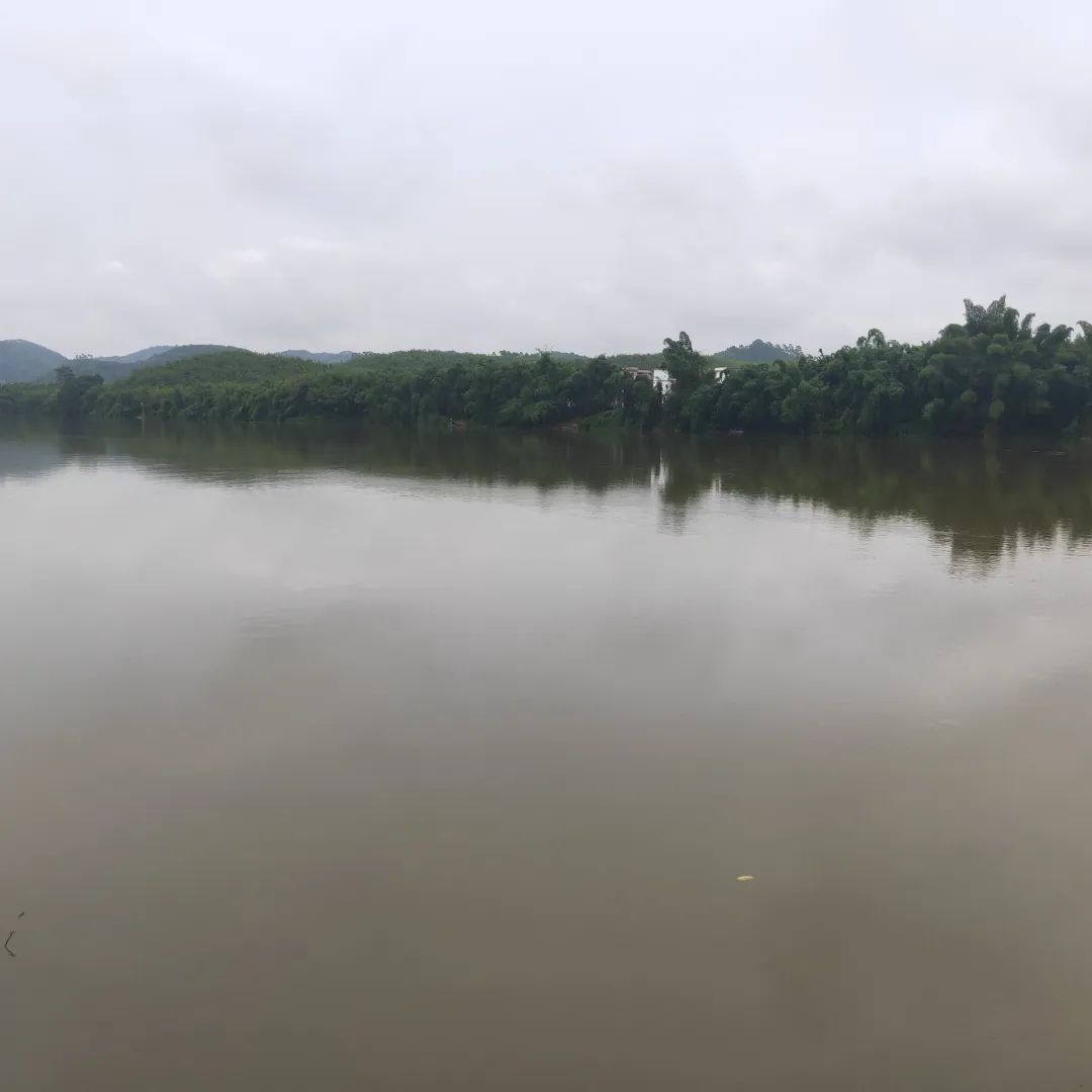 竹海森林公园旅行图片 2