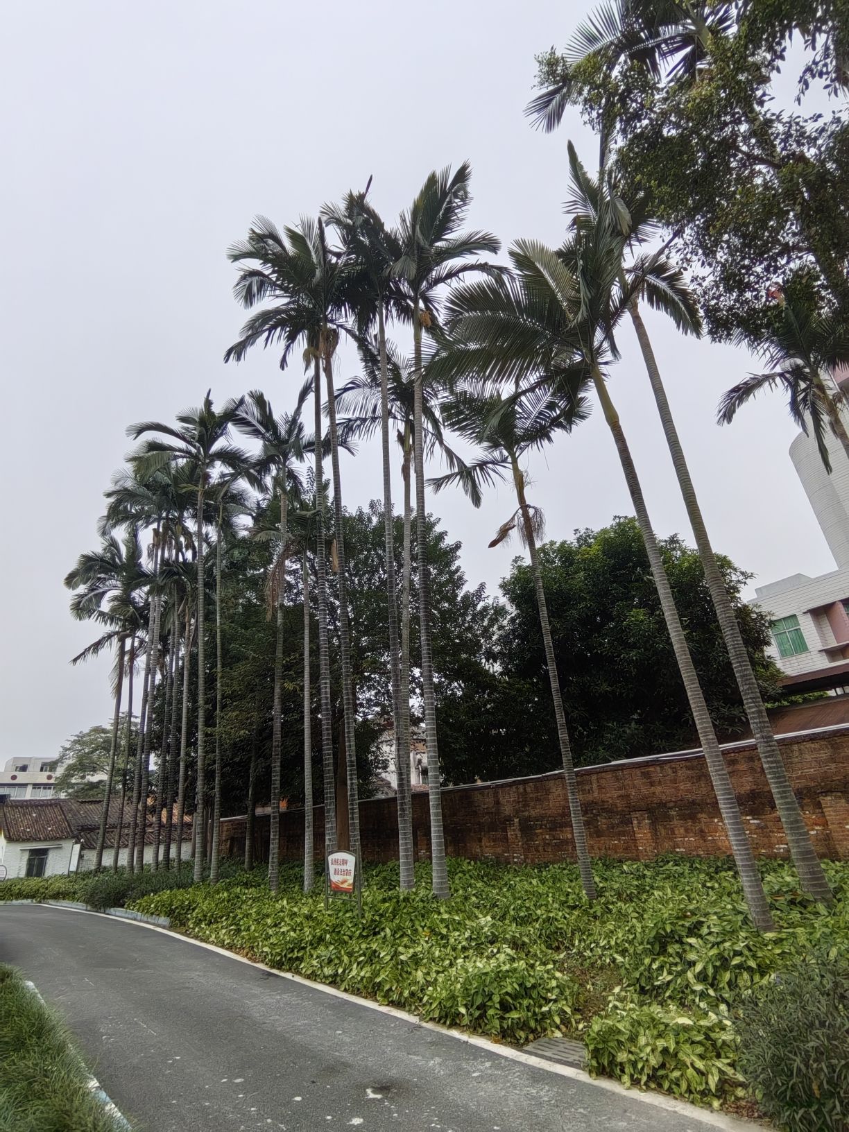 白沙公园旅行图片 3
