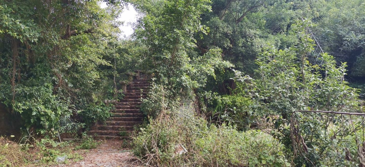 三洲岩旅行图片 2