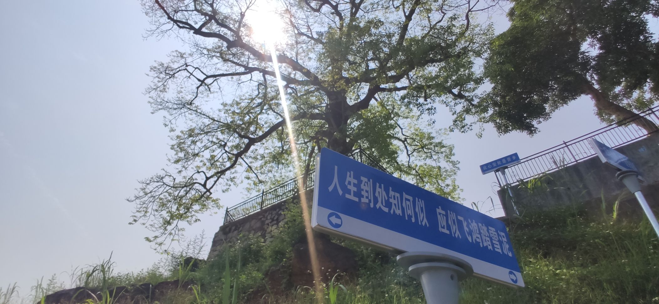 三洲岩旅行图片 2