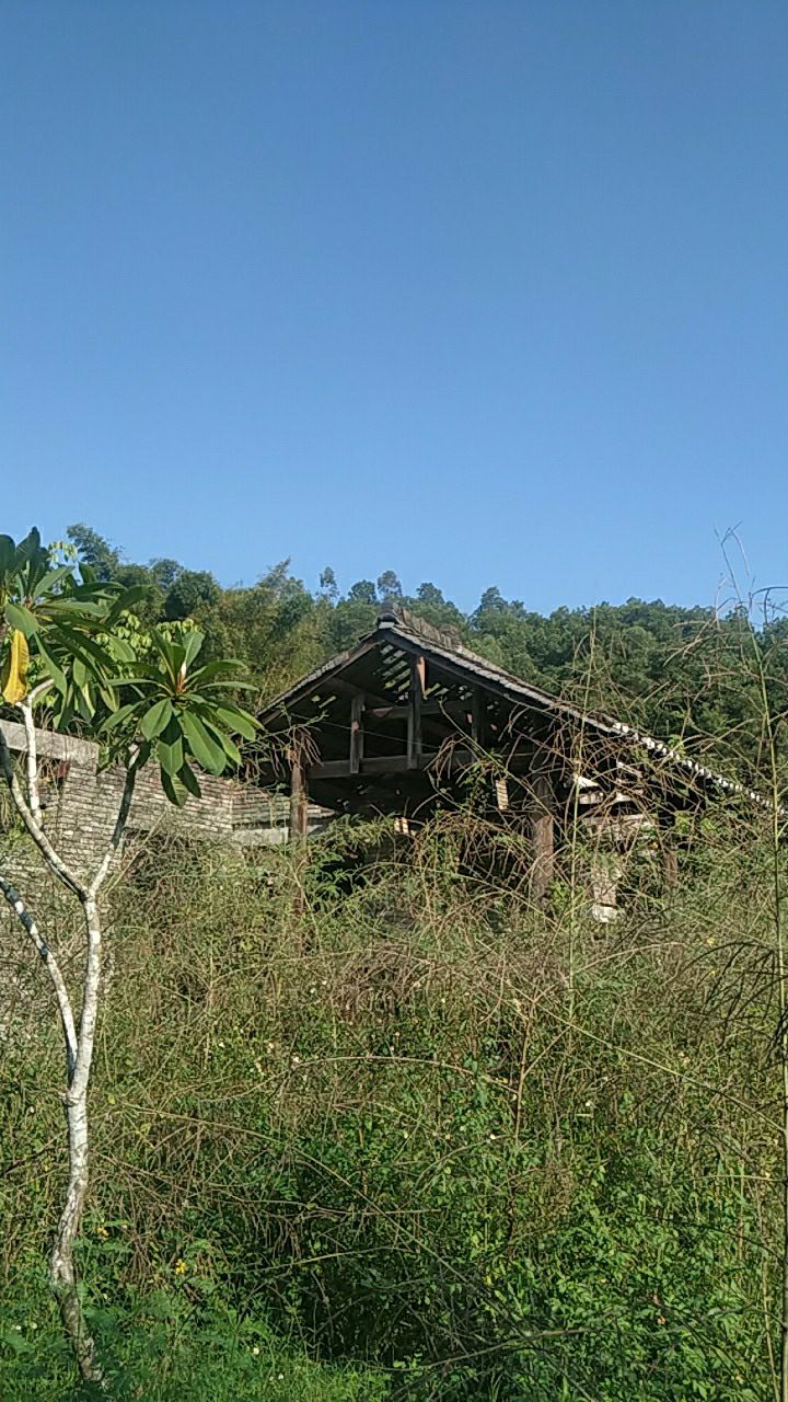三洲岩旅行图片 1