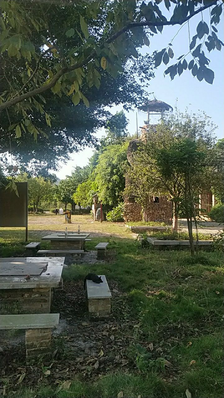 三洲岩旅行图片 2