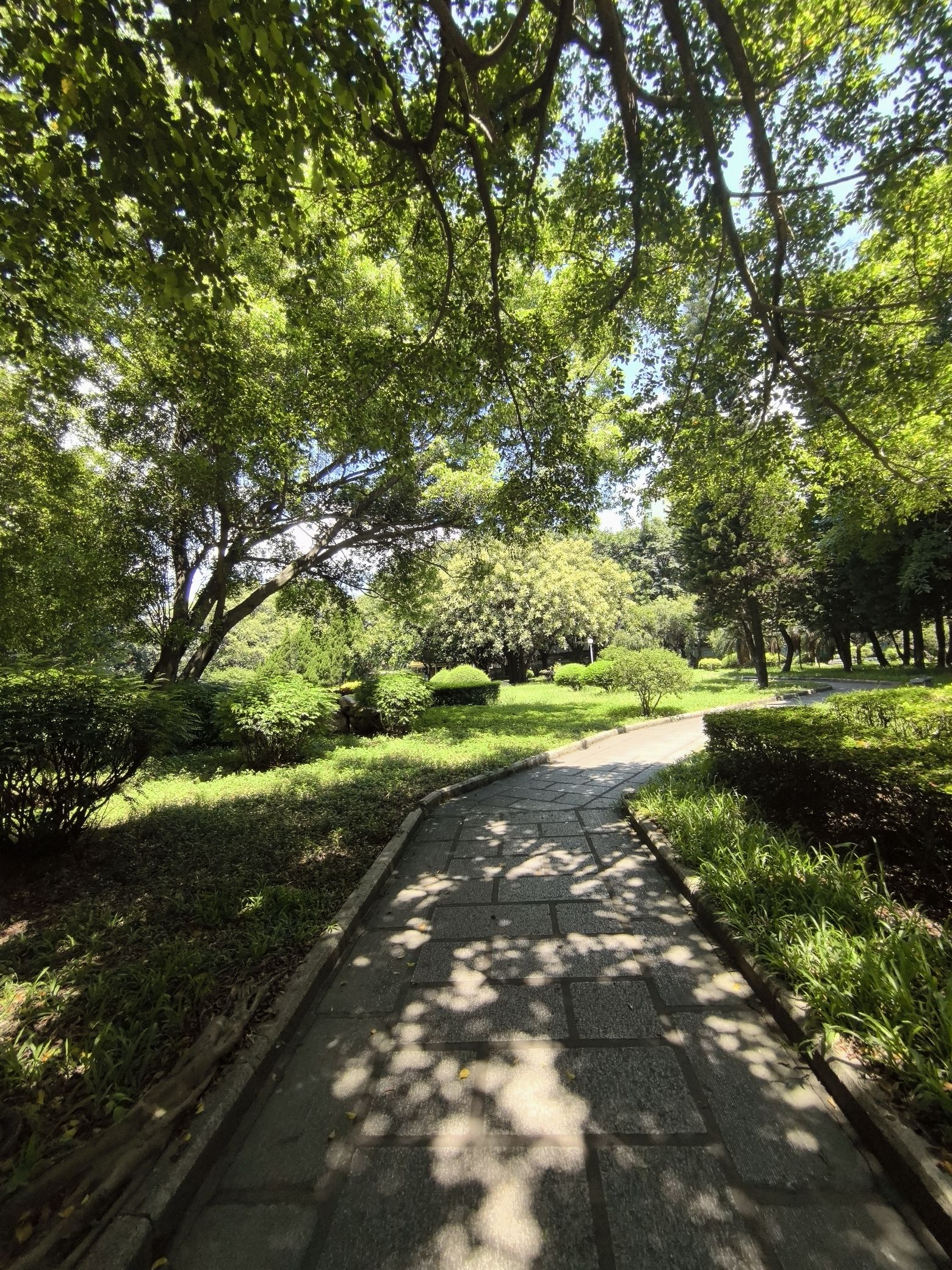 宝月公园旅行图片 2