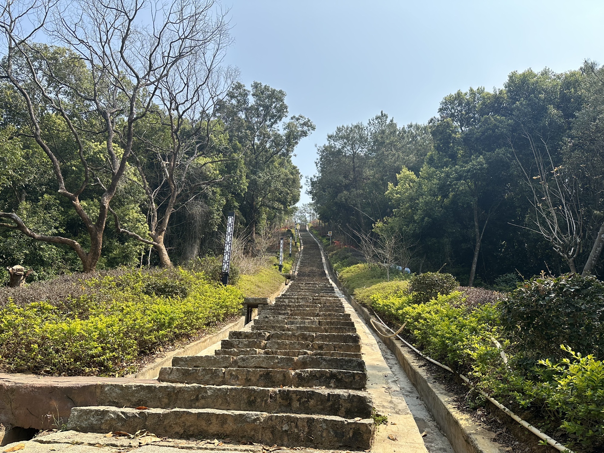 虎鼻山森林公园旅行图片 3