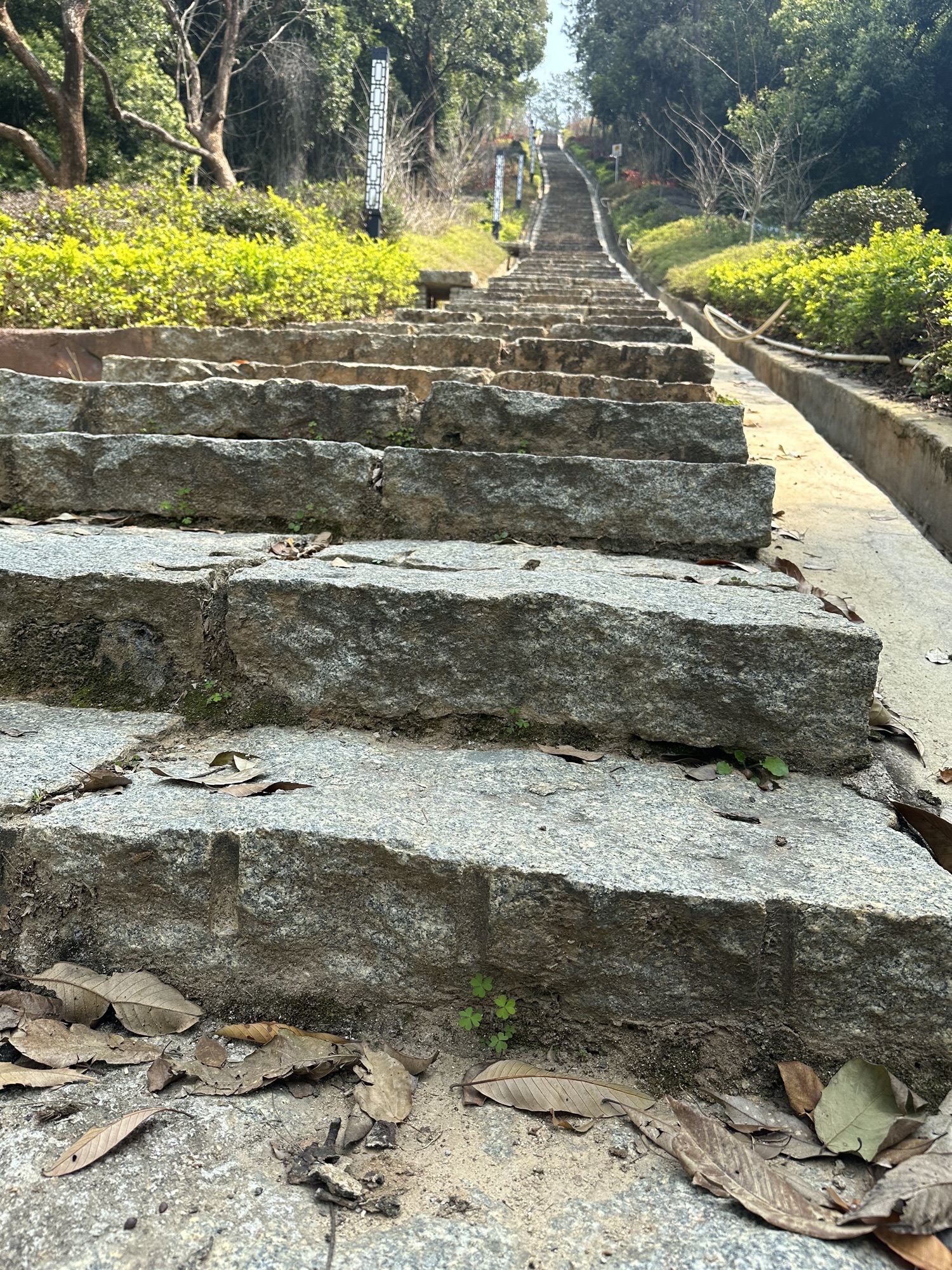 虎鼻山森林公园旅行图片 2