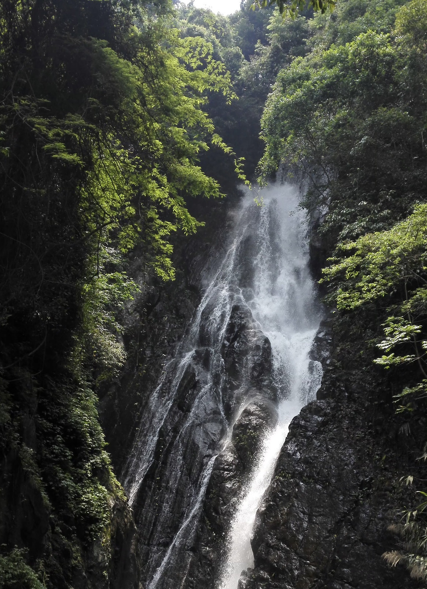 德庆盘龙峡(暂停开放)旅行图片 3