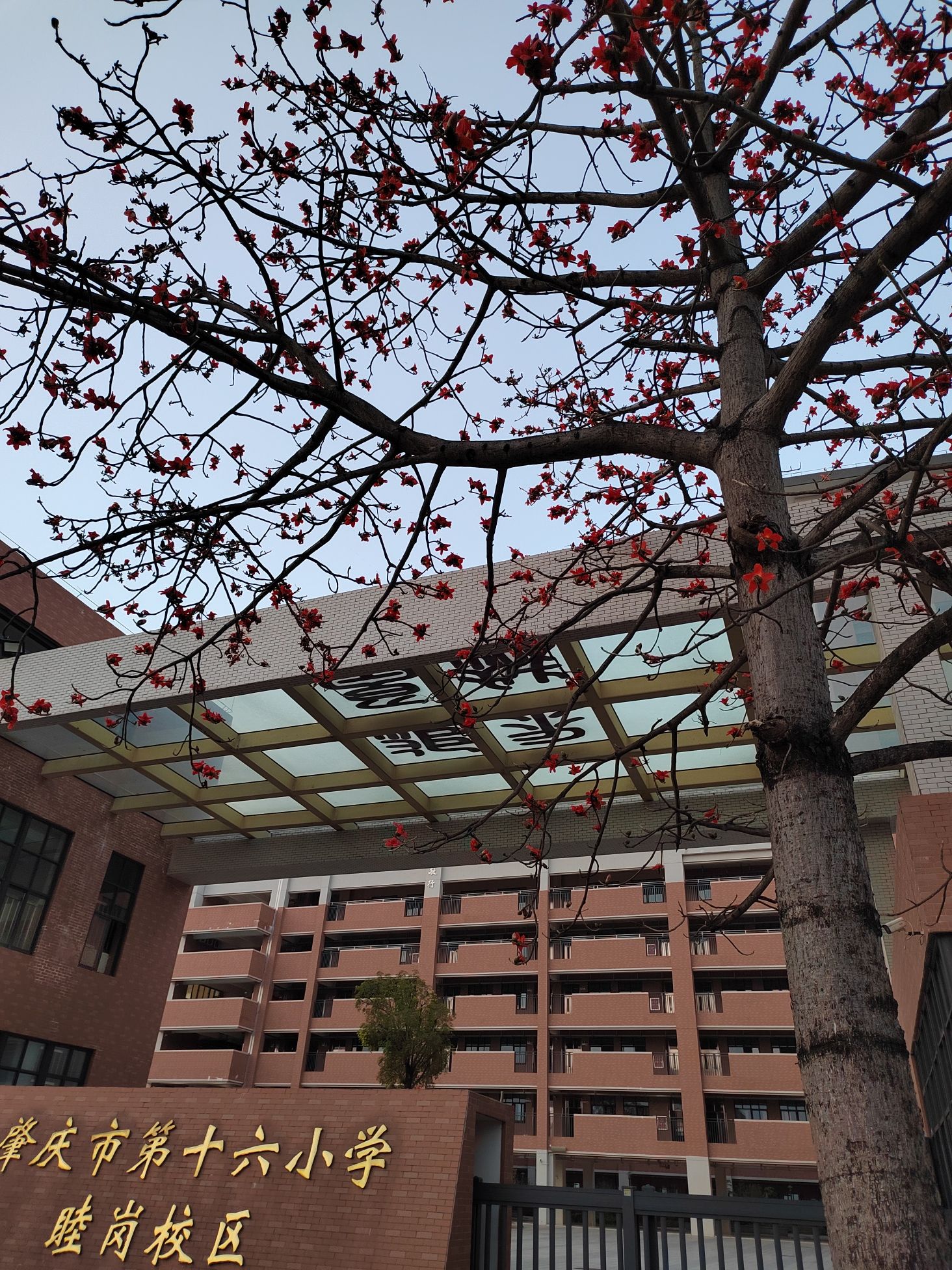 肇庆市第十六小学(睦岗校区)(装修中)