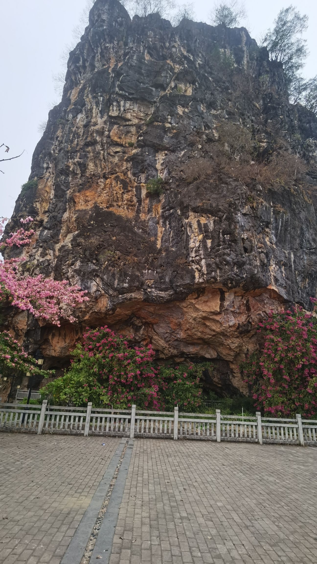 四门岩旅行图片 1
