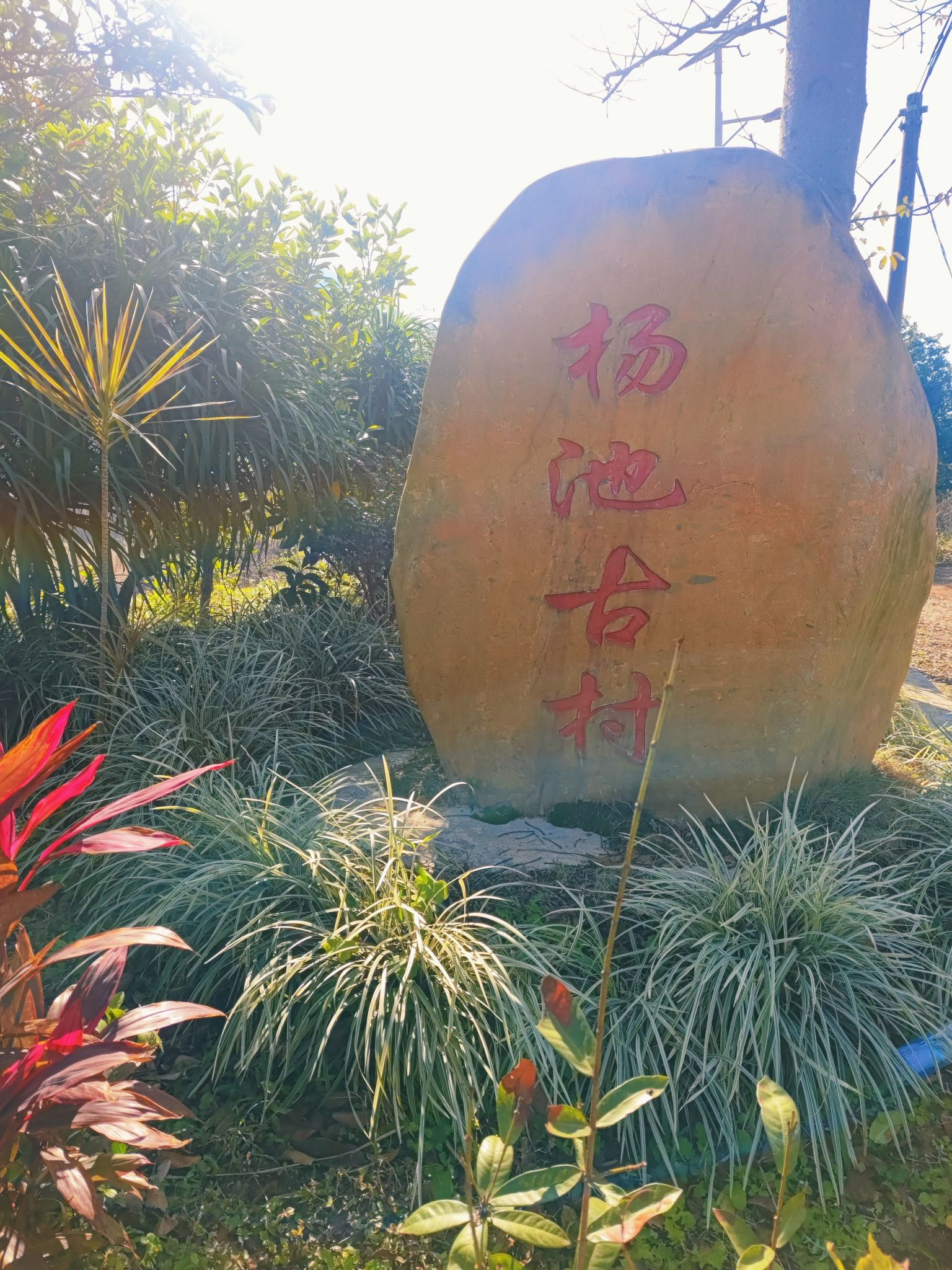 杨池古村旅行图片 1