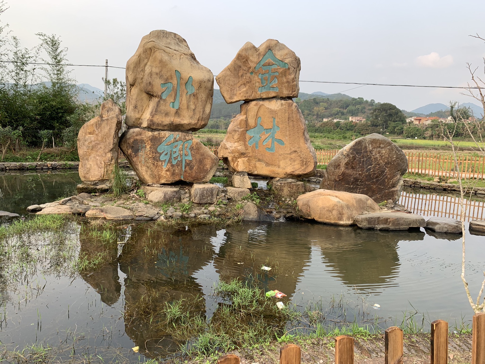 金林水乡旅行图片