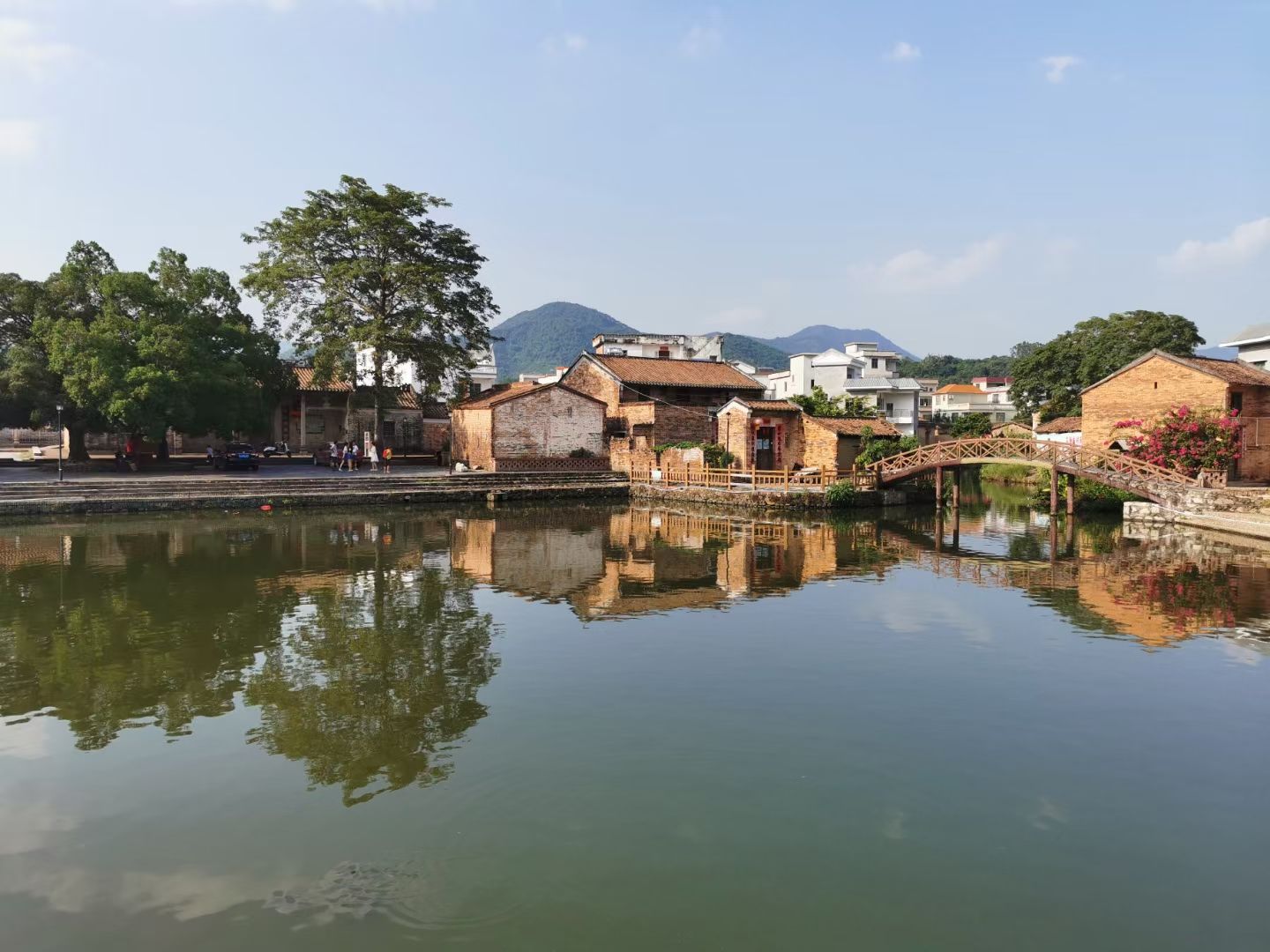 金林水乡旅行图片 1