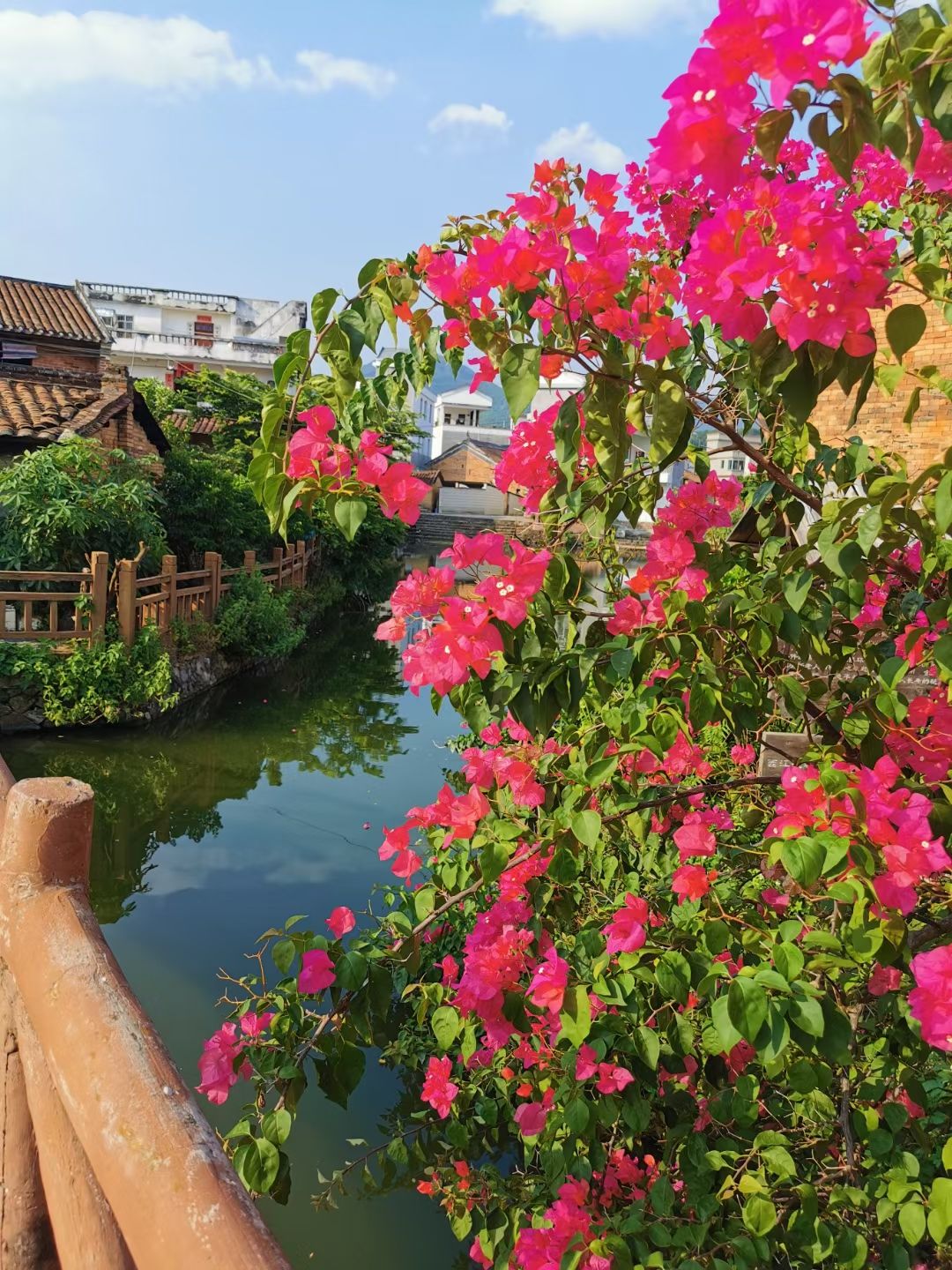 金林水乡旅行图片 2