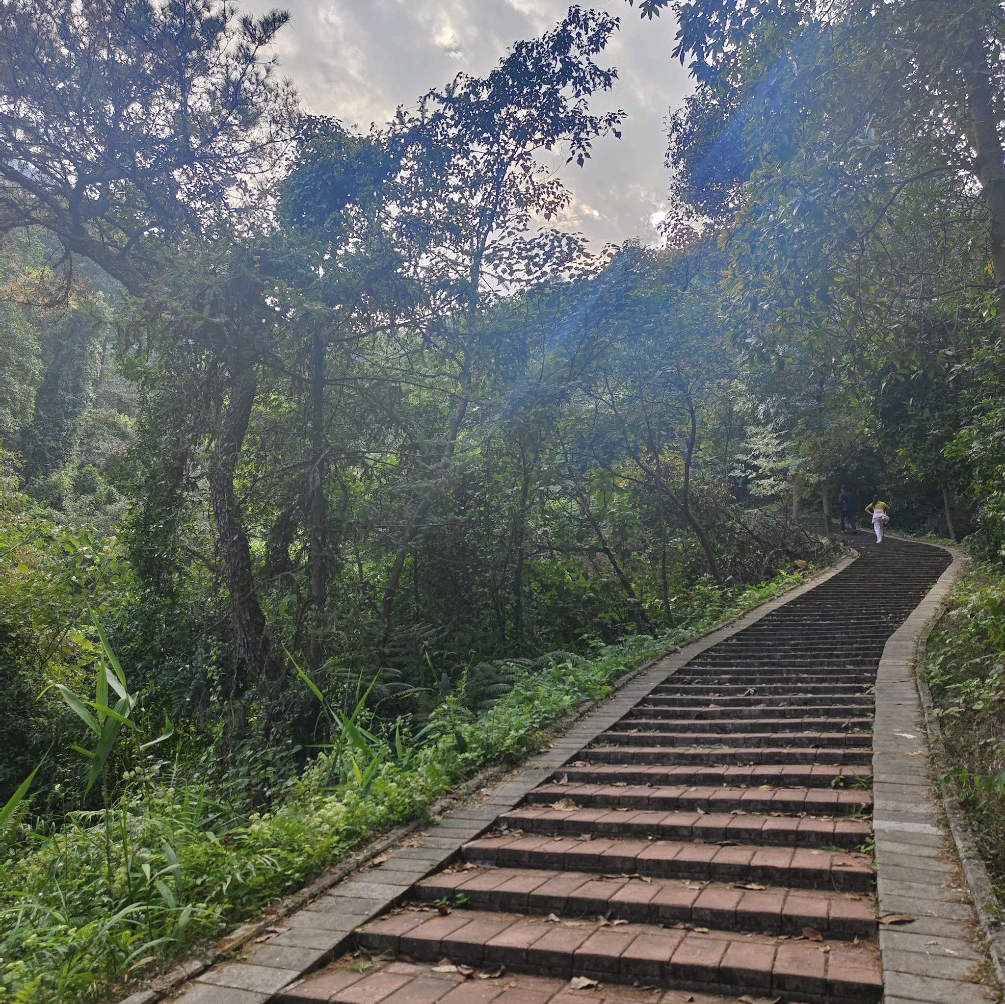 四会市贞山旅游度假区旅行图片 3