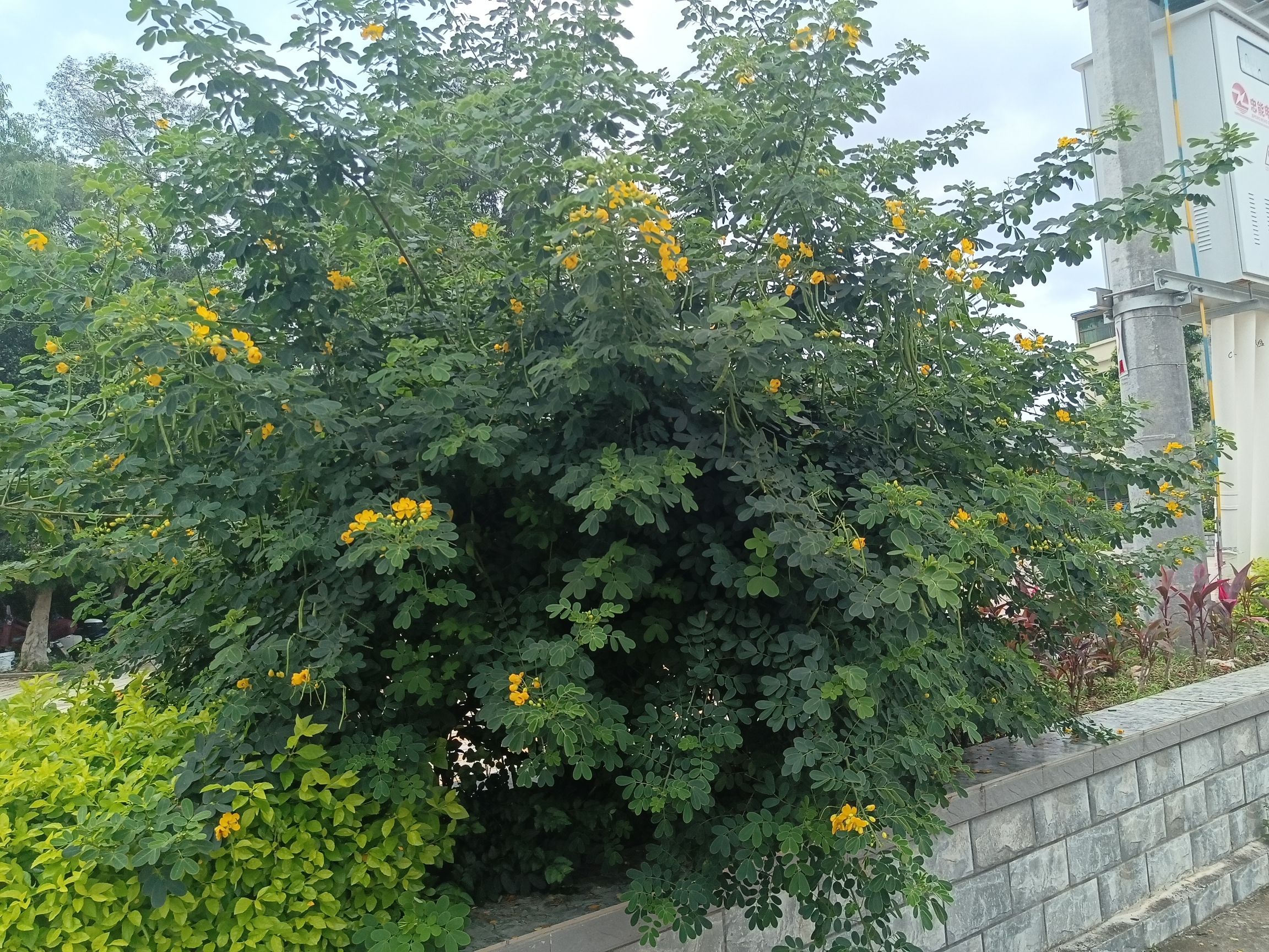 塔山文化公园旅行图片 1