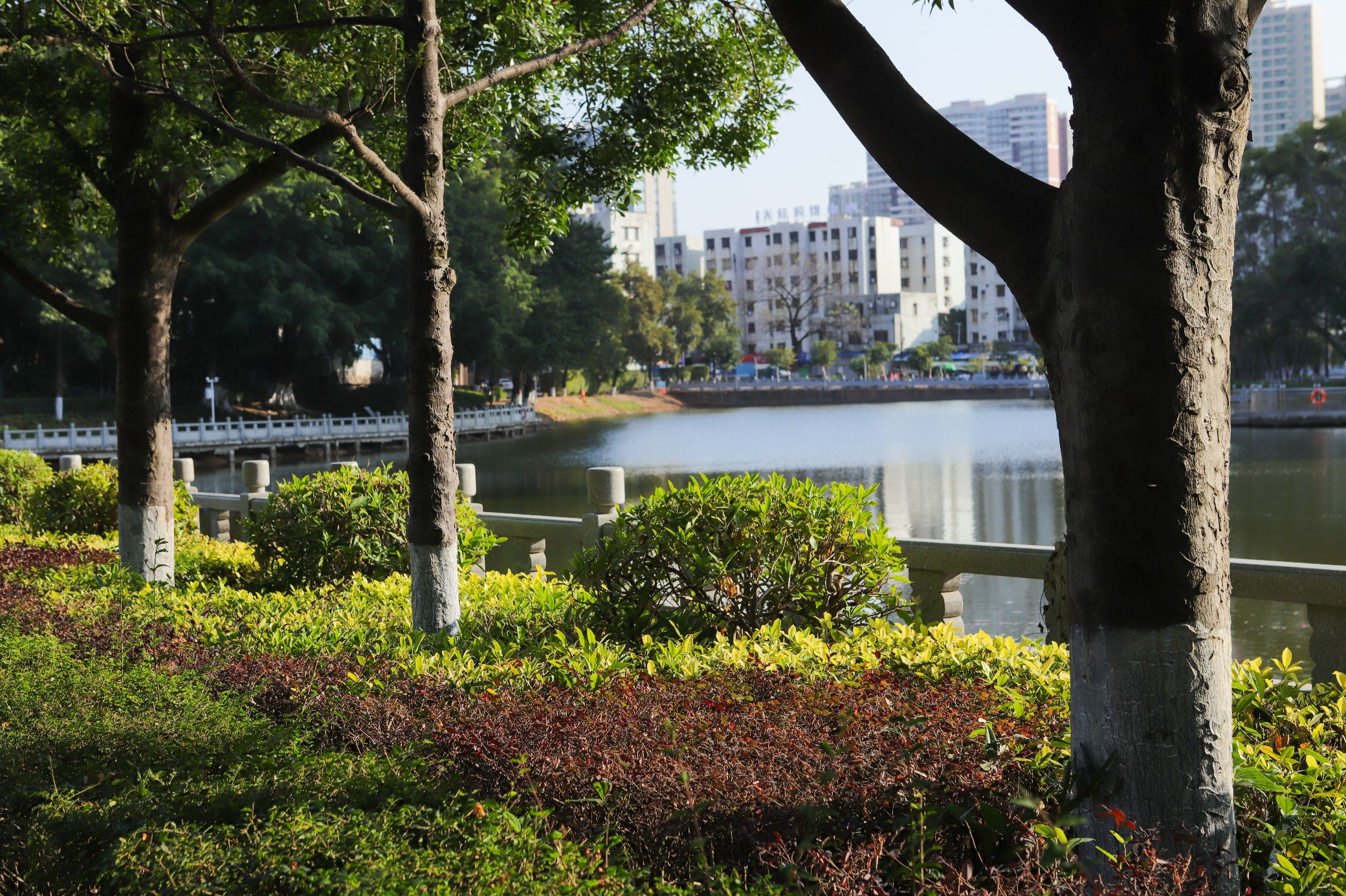 大旺公园旅行图片 2