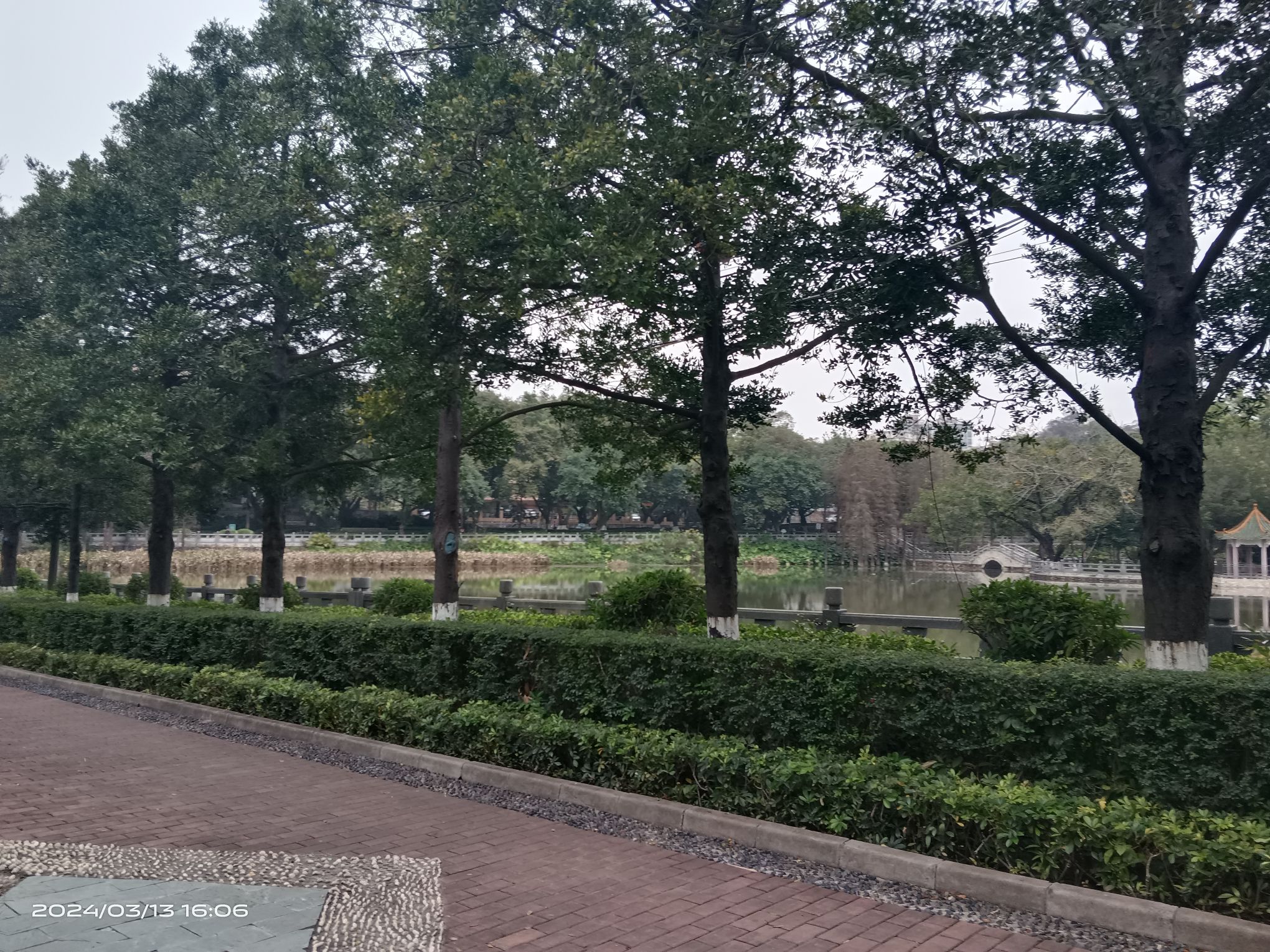大旺公园旅行图片 2