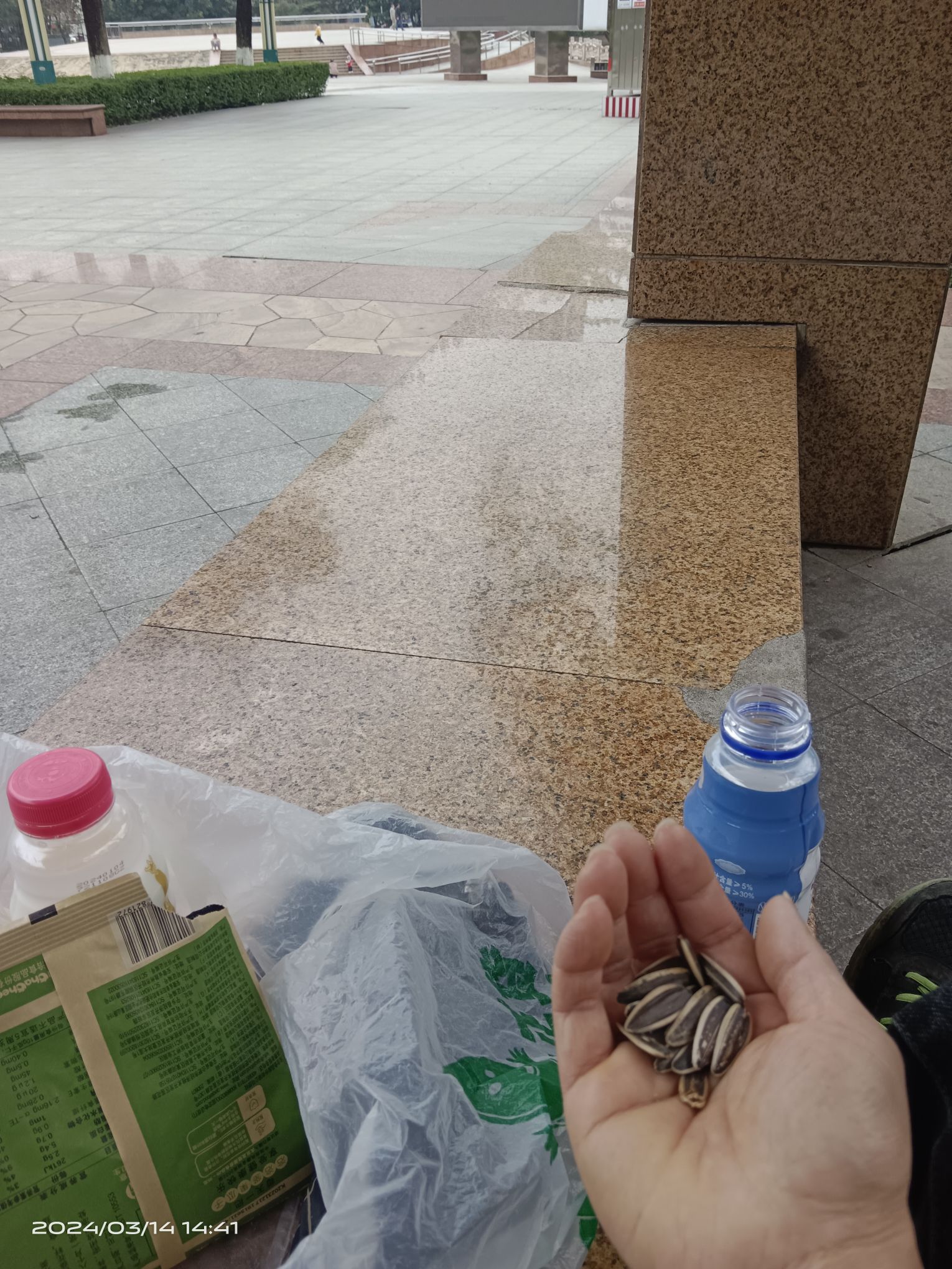 大旺公园旅行图片 1
