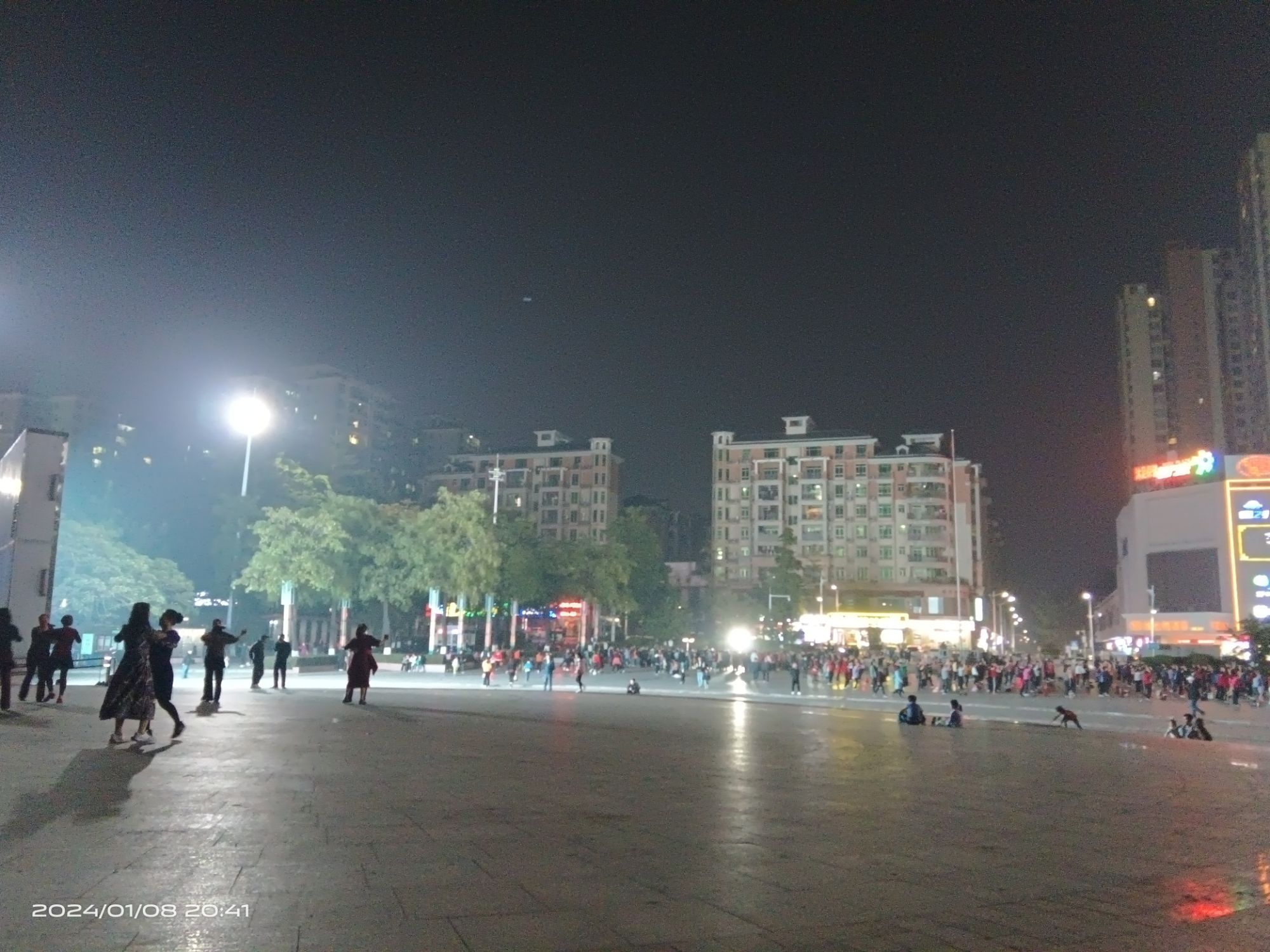大旺公园旅行图片 1