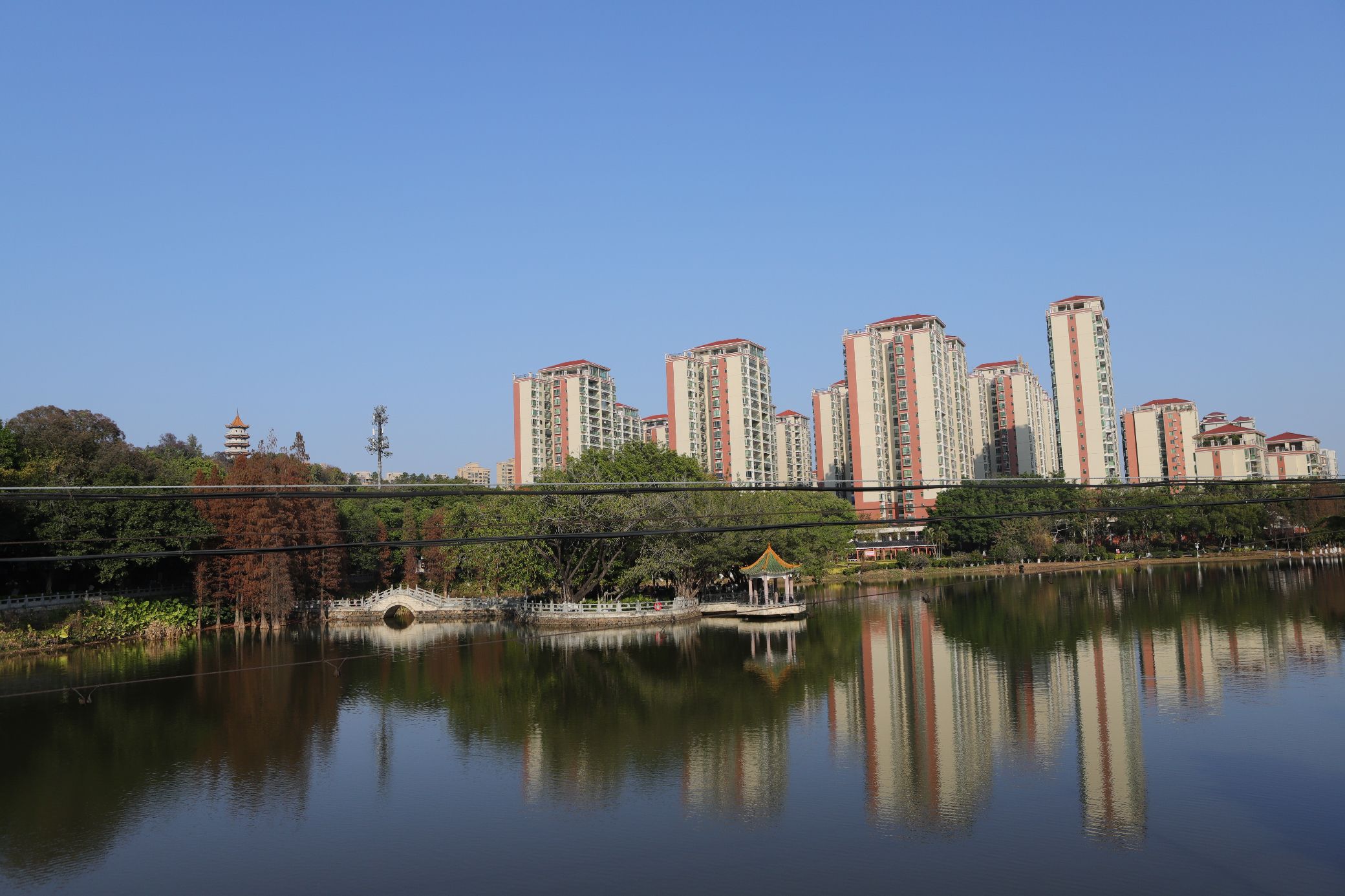 大旺公园旅行图片 1