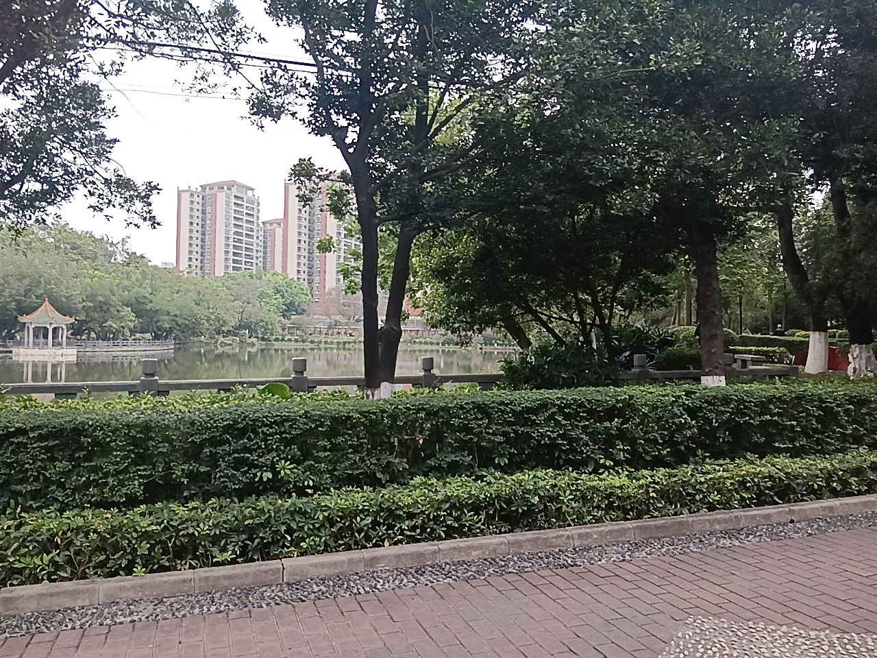 大旺公园旅行图片 3