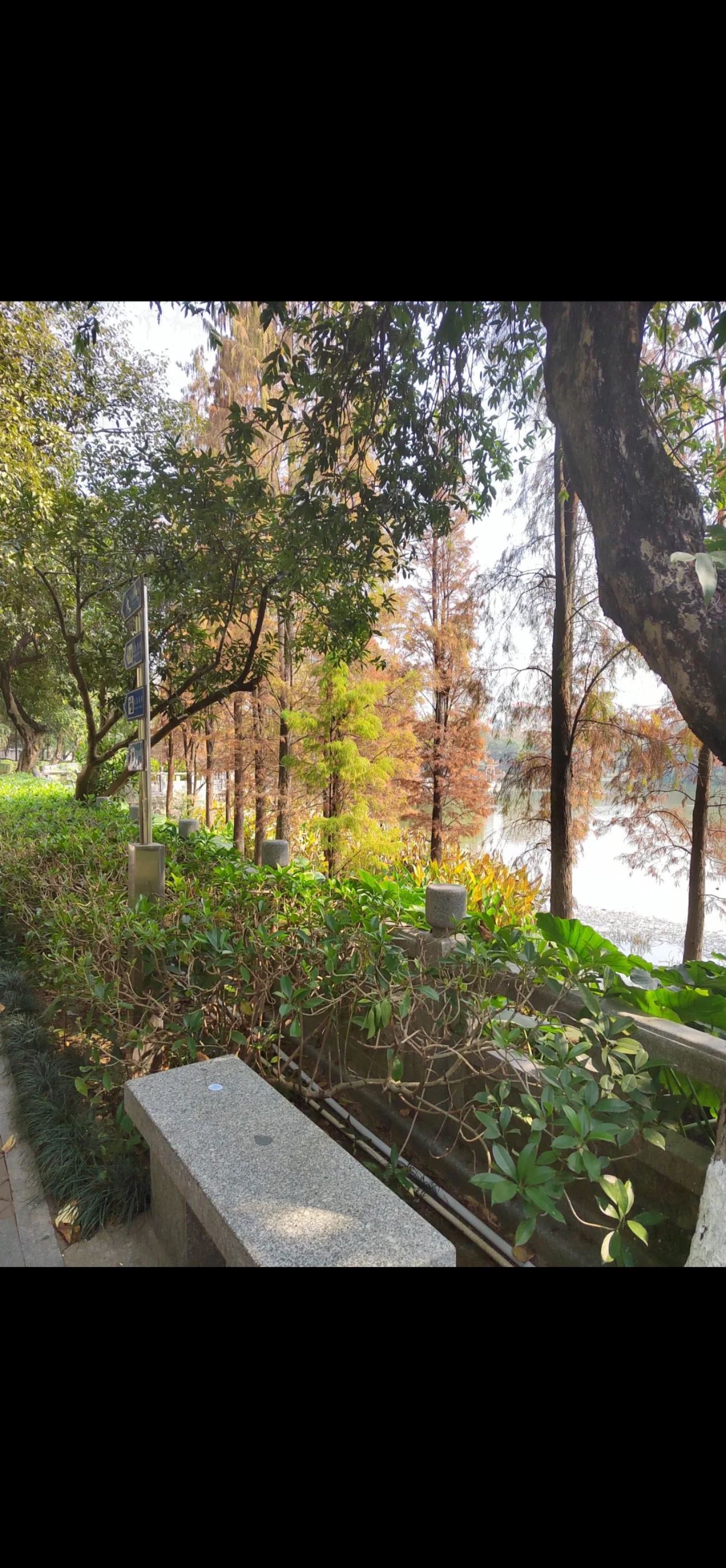 大旺公园旅行图片 3