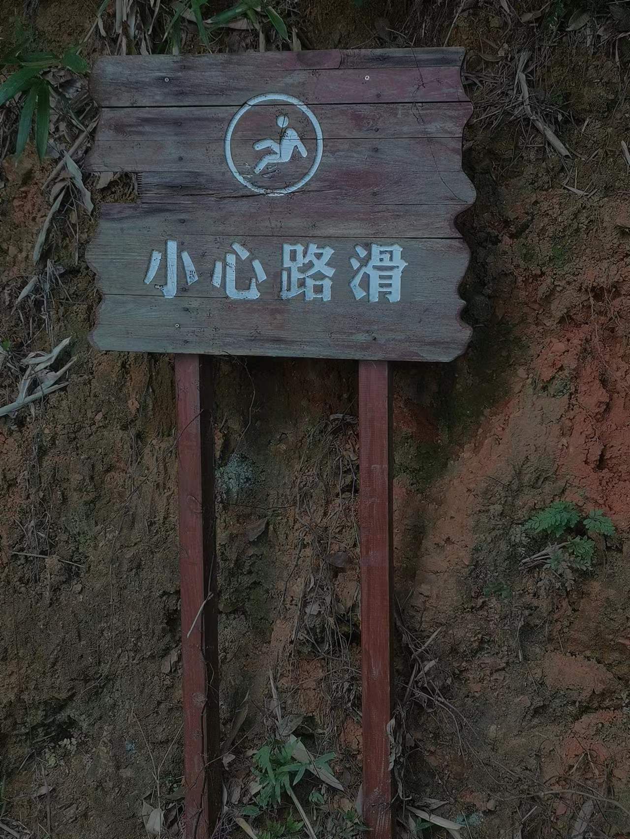 香山森林公园旅行图片 2