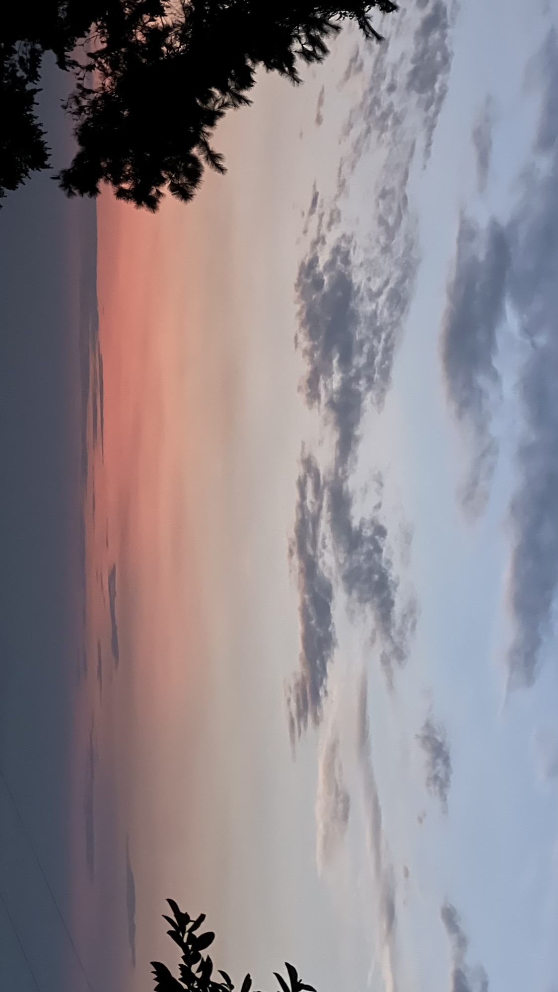 香山森林公园旅行图片 1