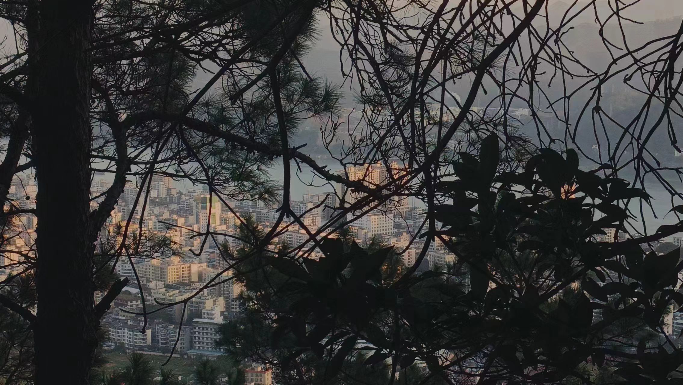 香山森林公园旅行图片 1