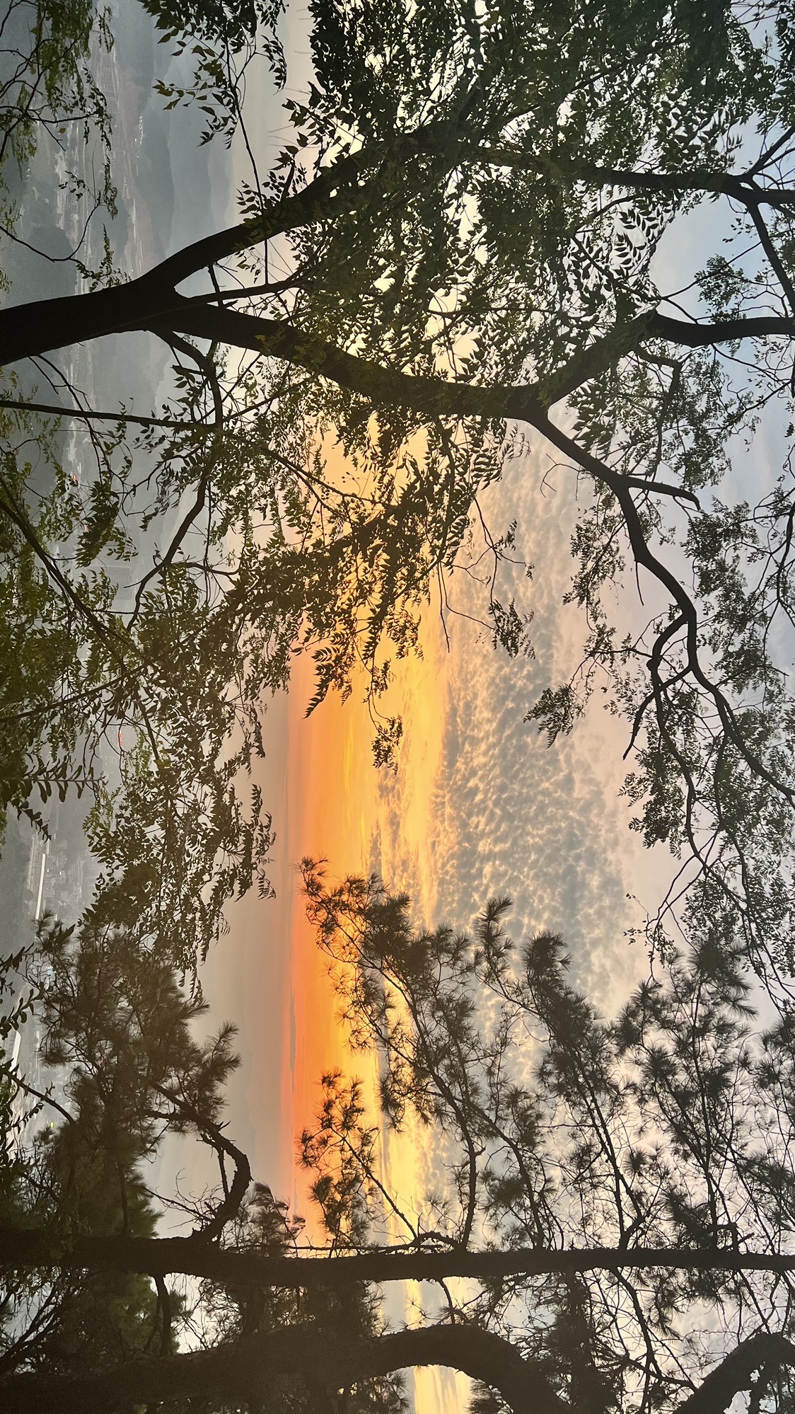 香山森林公园旅行图片 3