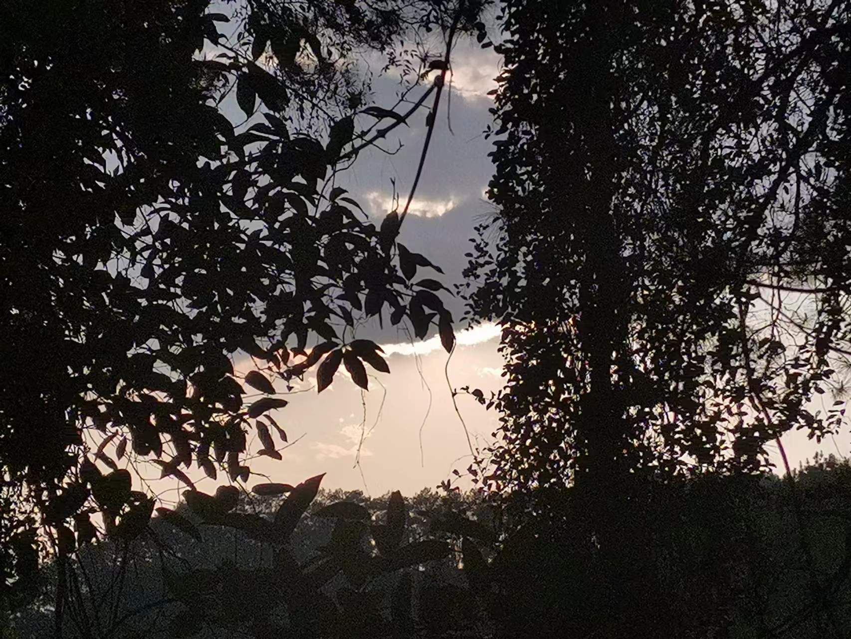香山森林公园旅行图片 1