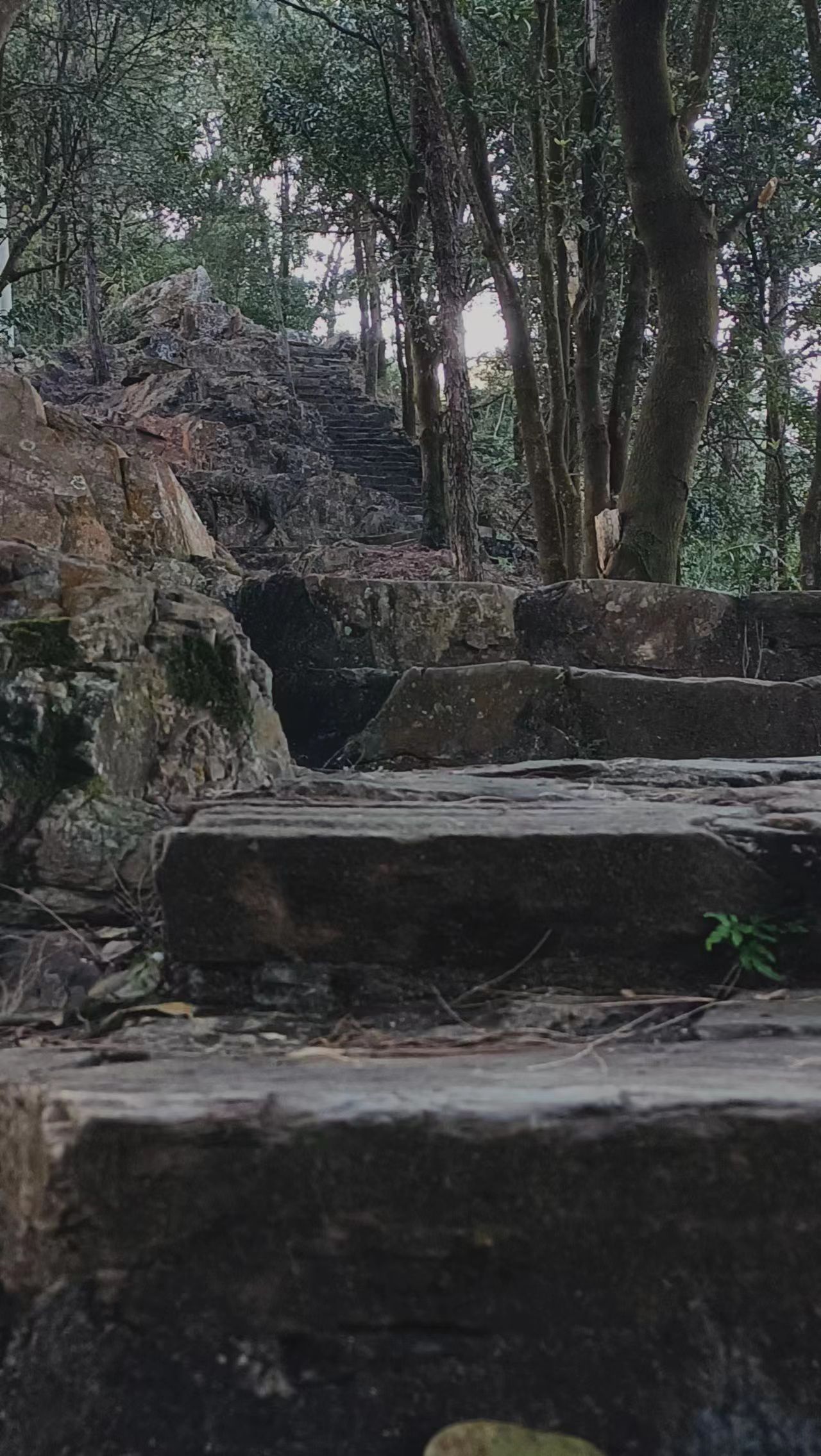 香山森林公园旅行图片 2