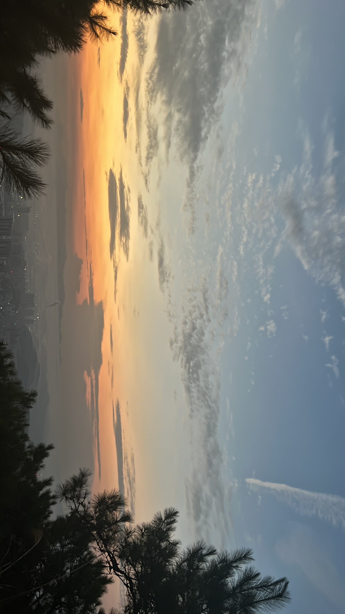 香山森林公园旅行图片 2