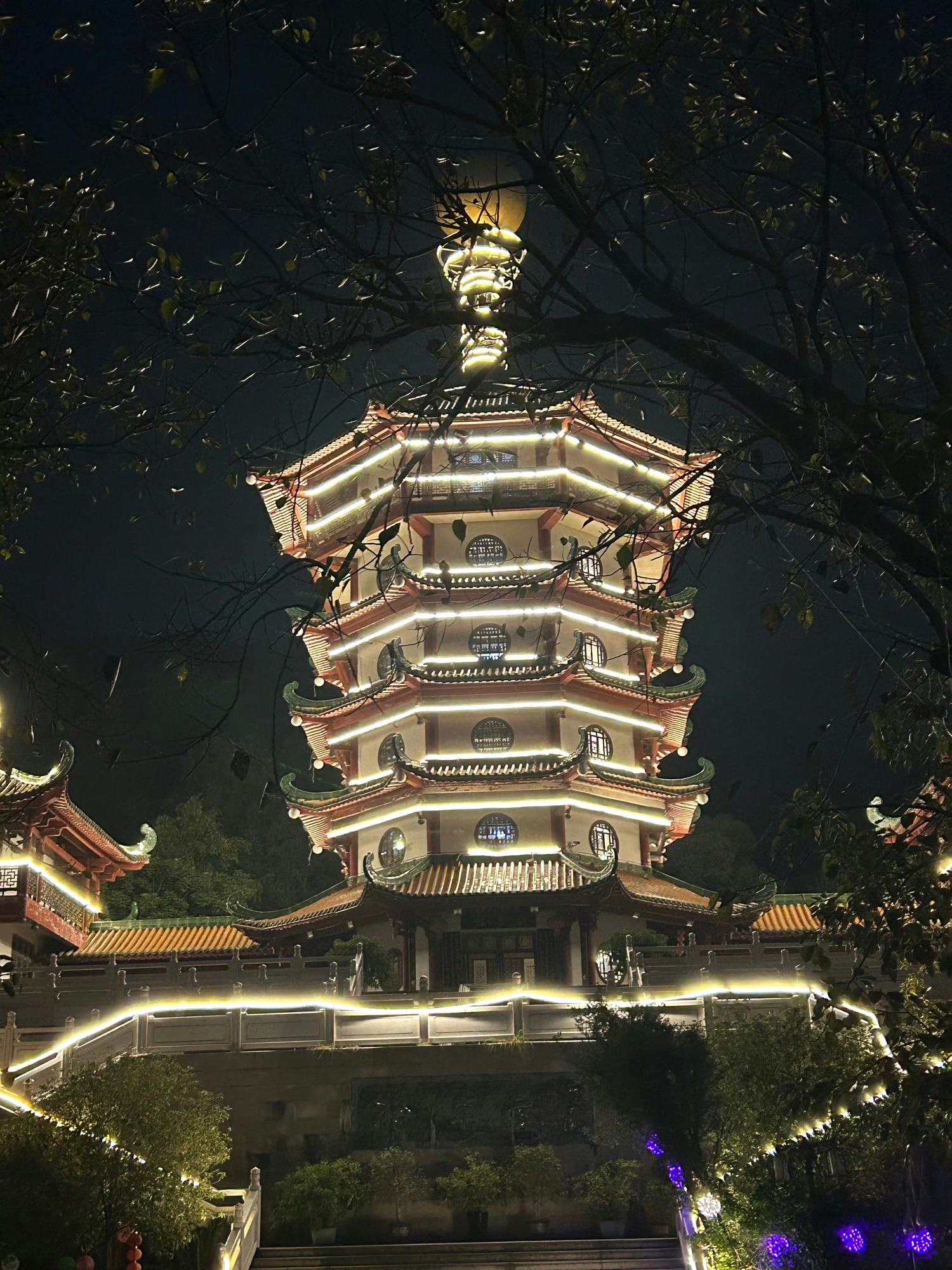 将军山旅行图片 2