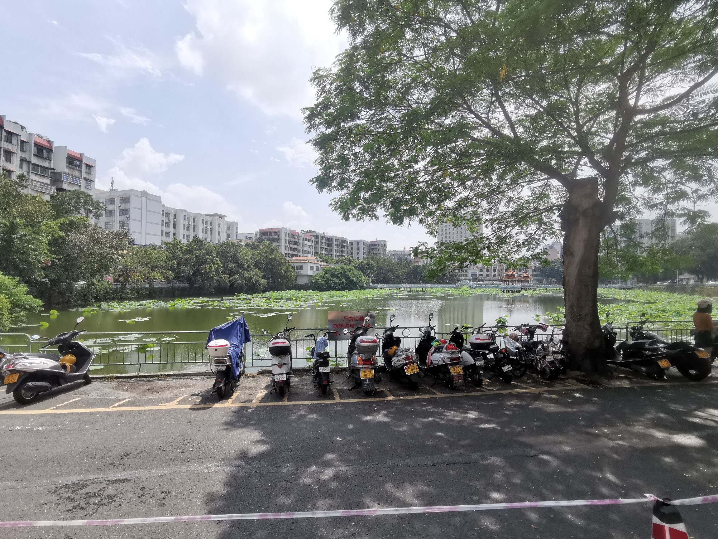 宝月荷香旅行图片 1