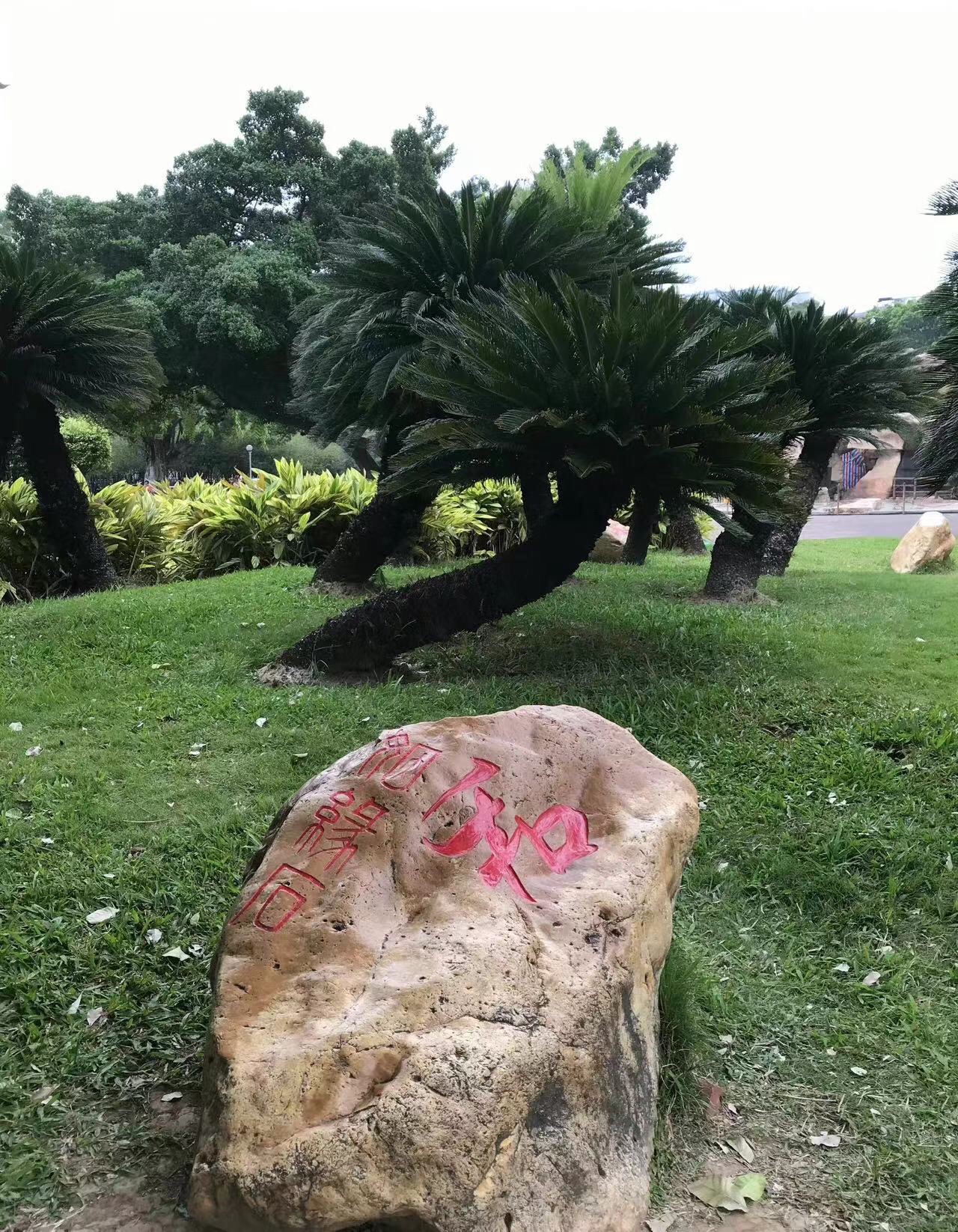 城东公园旅行图片 1