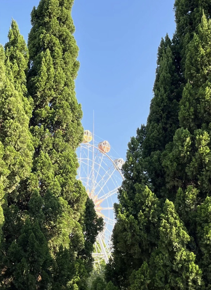 城东公园旅行图片 1